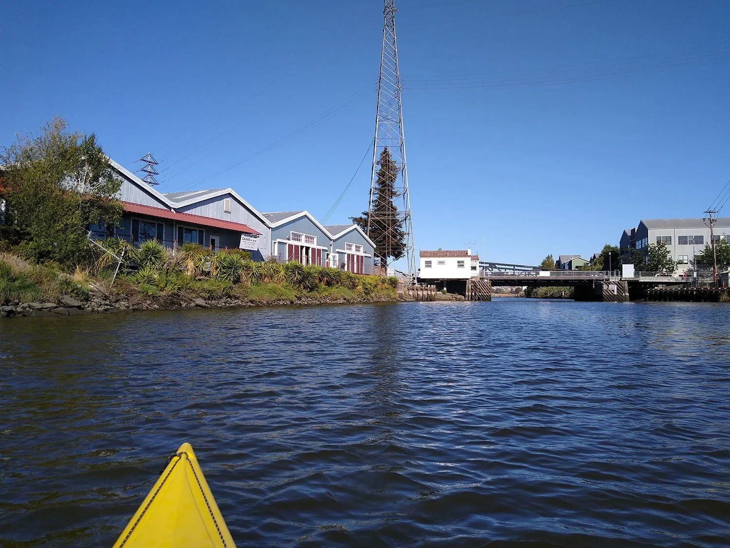 Petaluma Wetlands and River