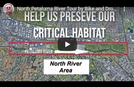 This short 3 minute video showcases the north river floodplain area using walking, bike, and drone footage.  I worked with local videographer and drone operator to showcase this Greenway. Friends of the Petaluma River have recently created map showca