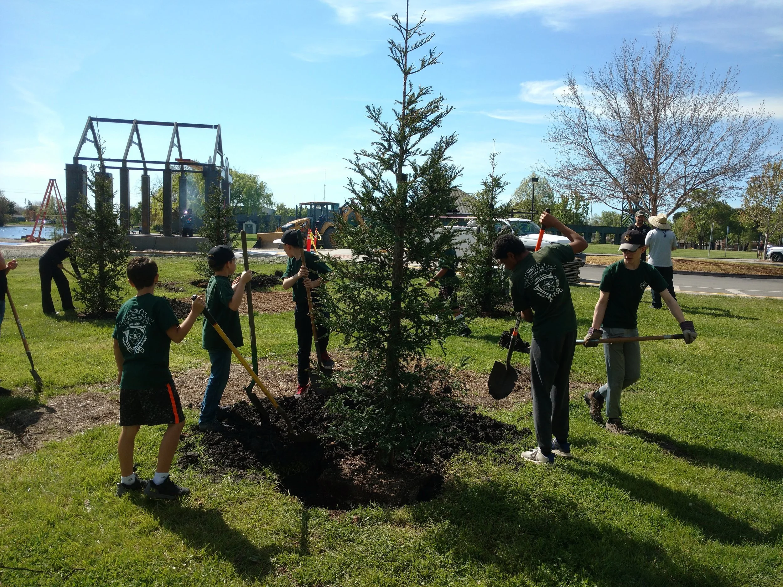 With $1,000 grant I wrote, the Tree Advisory Committee planted redwood trees by the Field of Dreams in Lucchesi Park with the help of a scout troop and city staff.