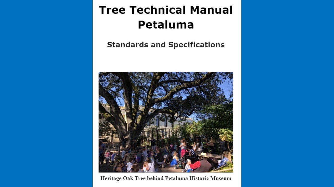 One of major accomplishments as Chair of the Tree Advisory Committee was the completion of the Petaluma Tree Technical Manual. 