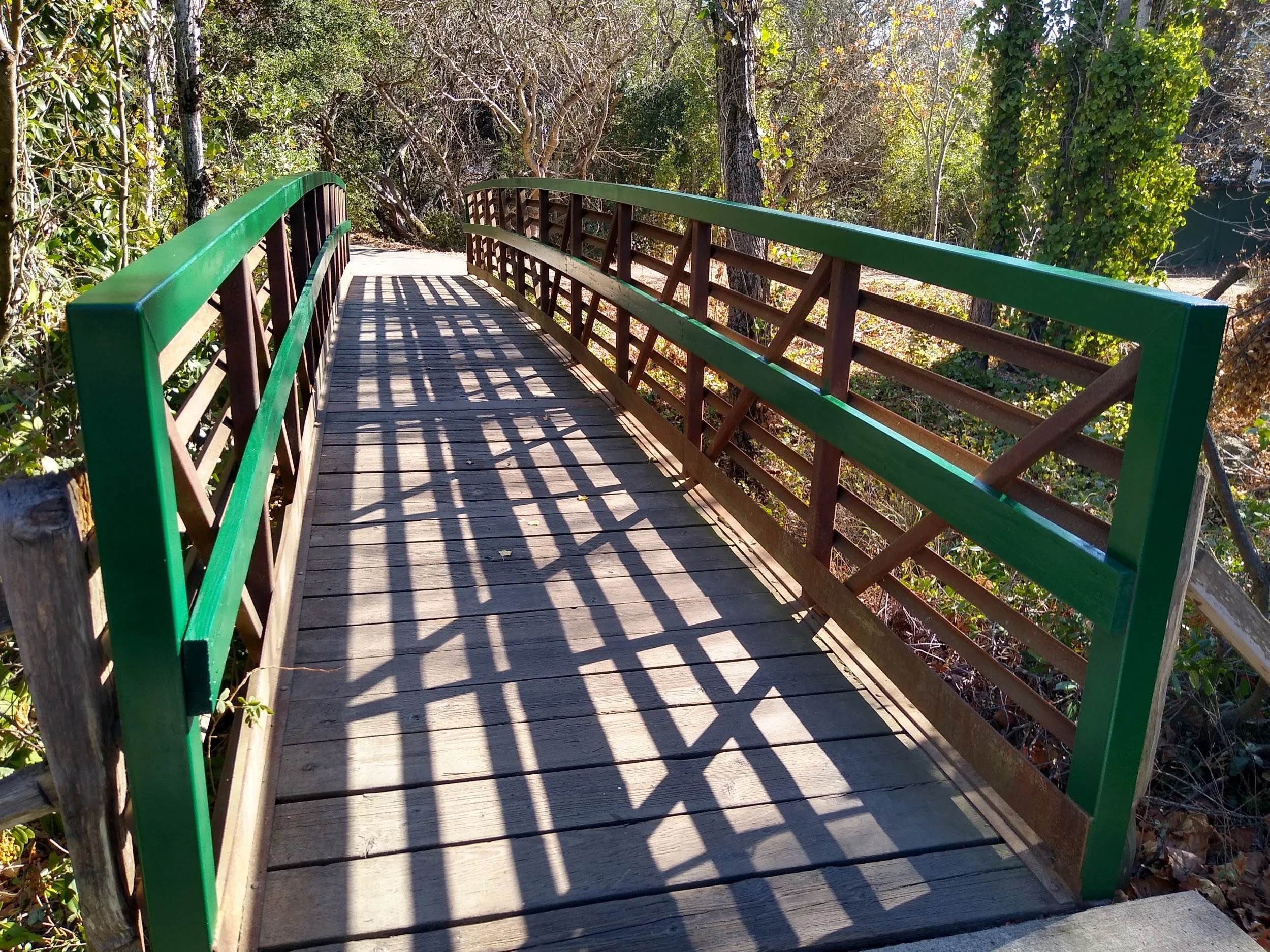 Besides 4 benches the Eagle Scout team also sanded and repainted the bridge over Washington Creek in Prince Park. 