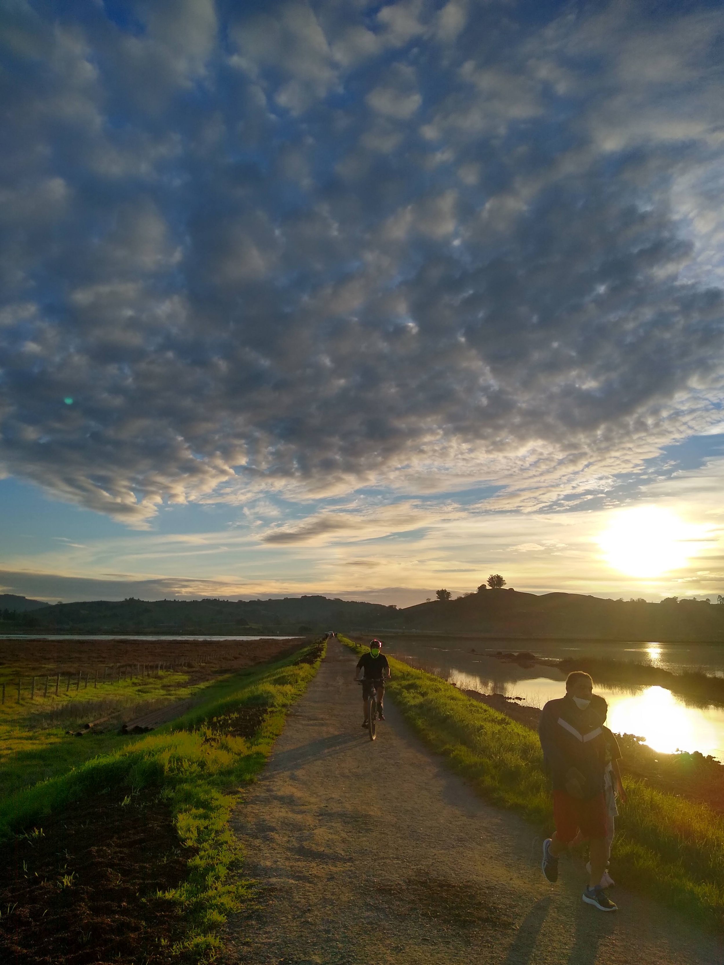 Shollenberger Park trail is the most used trail in Petaluma with over 300 people walking, running, and biking here daily. It was also voted most popular park. It is now a mixed used area for industrial waste (dredging),  2 mile trail for people, and 