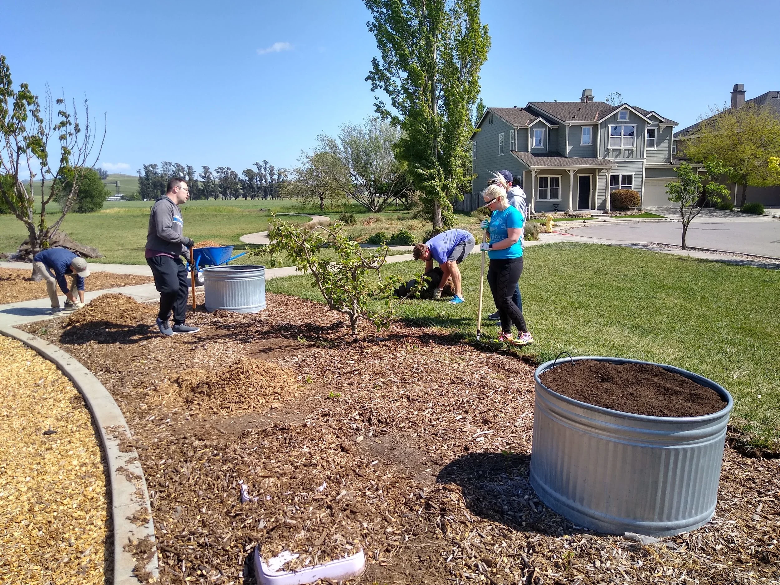 A local tech company asked to help develop a work day in the park system so I worked with city park staff to mulch South Gate Park with wood chips and prep containers for local residents to plant flowers and food garden. 