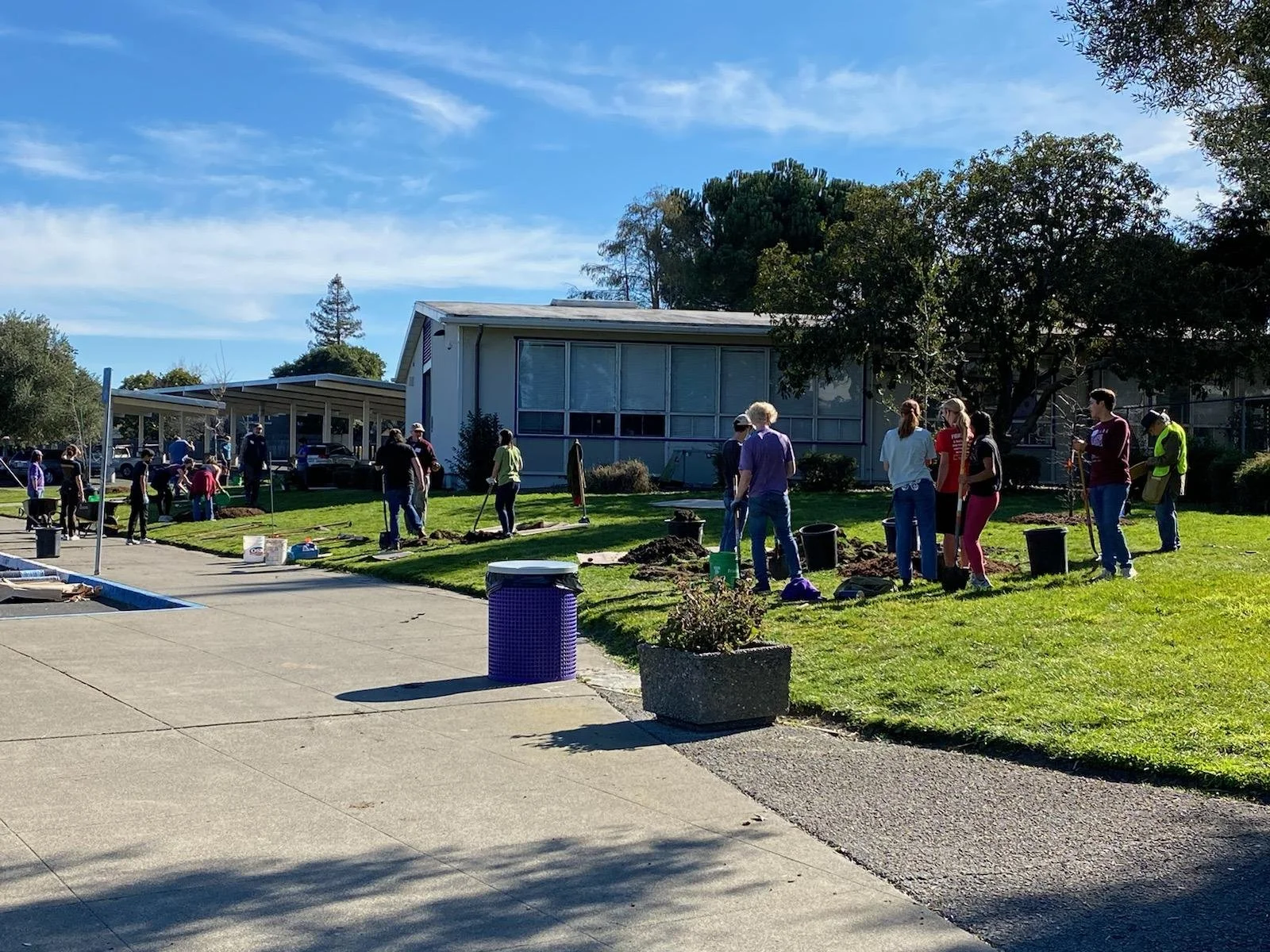 ReLeaf Petaluma volunteers helped students  plant 15 trees in front of PHS working with the school district maintenance crew. 