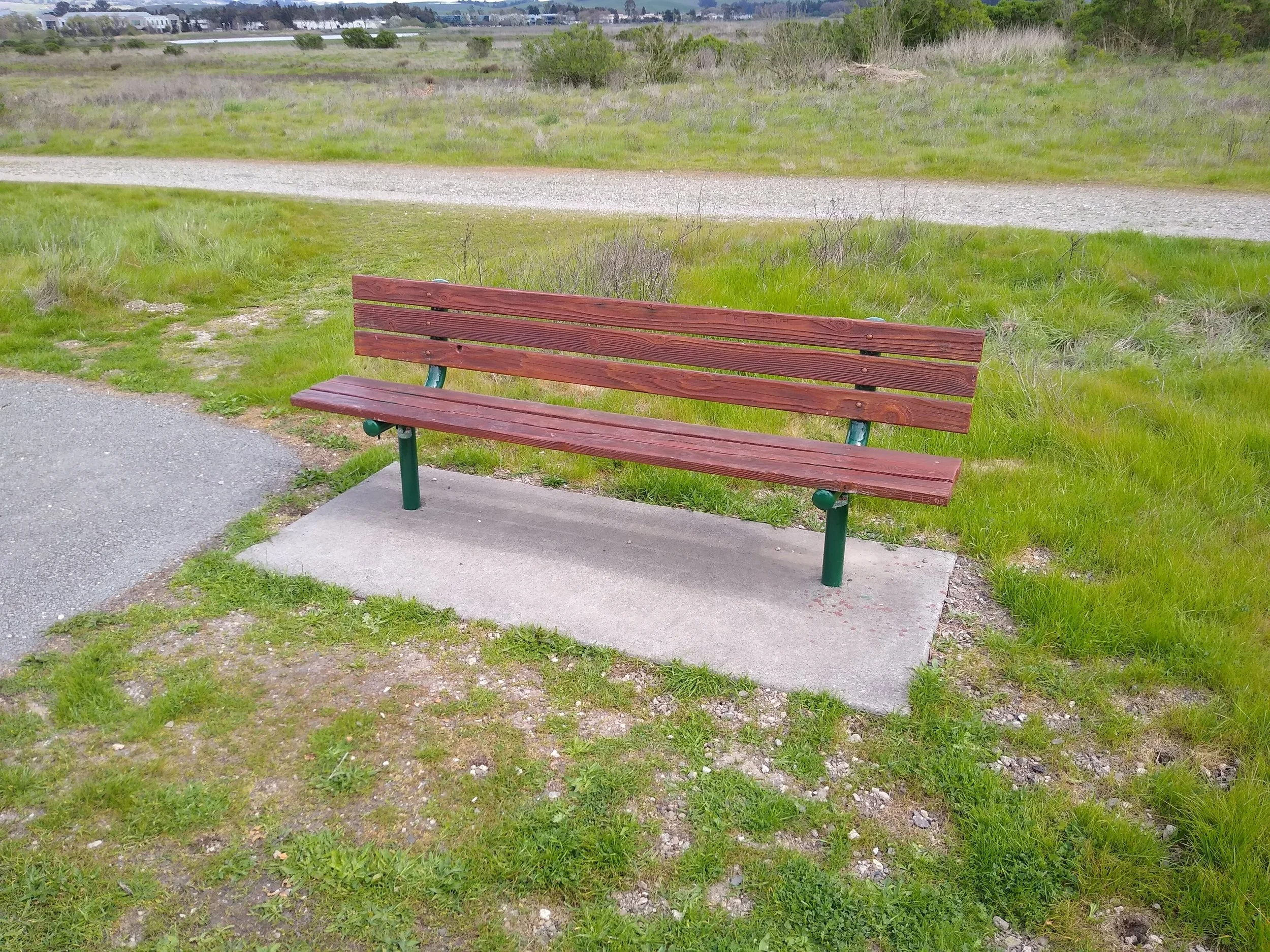I led the teams refurbish all 32 benches at Shollenberger Park and Alman Marsh and work with city staff on the Memorial Bench Program. 