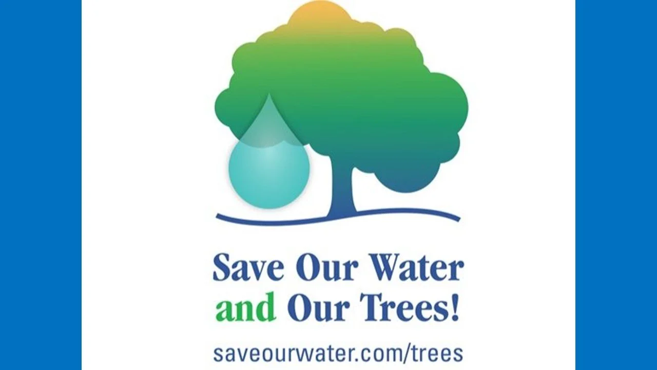 Brown is the New  Green applies to lawns. We want to save our trees with regular, biweekly deep watering. See the website linked to this image to learn more about watering trees during drought. 