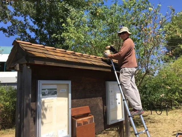 Image of me refurbishing roof of kiosk. I manage the kiosk cases and have a team filling the brochure boxes. One of our PWA docents painted the Wetlands poster  that now adorns this kiosk near the Shollenberger parking lot. 