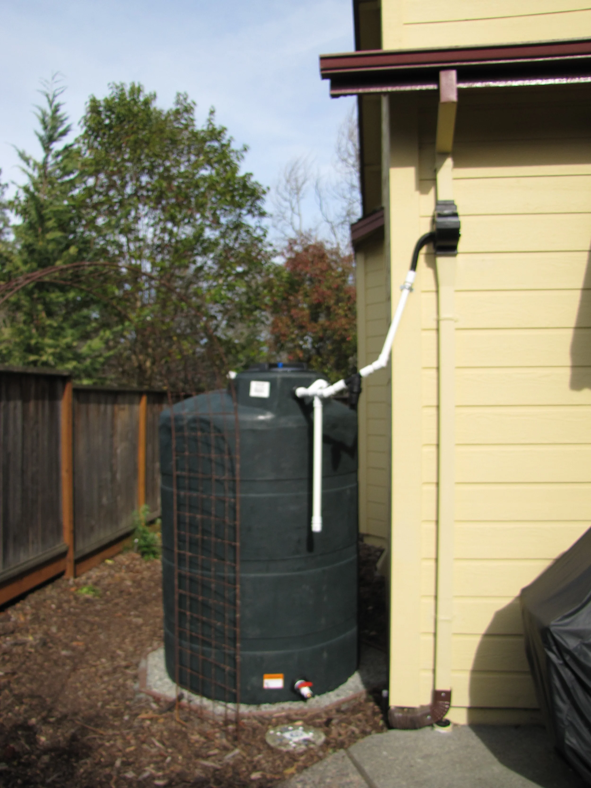 This is a rain catchment system I built in my side yard to provide 500 gallons of water for my garden and backup water supply in case of earthquake disaster. Rain catchment, rain gardens, and groundwater recharge are now important parts of conserving