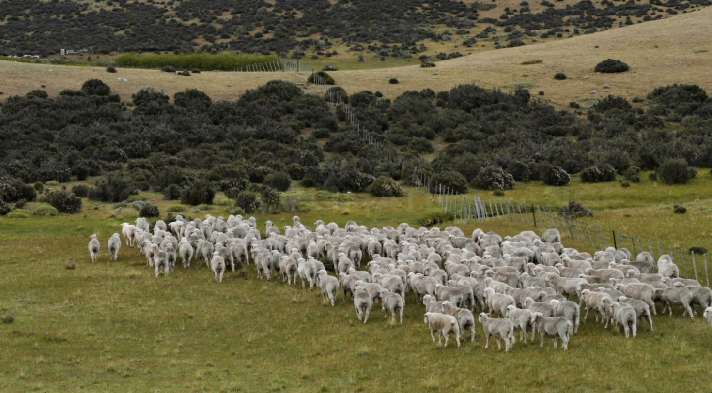 Eileen Fisher in Patagonia