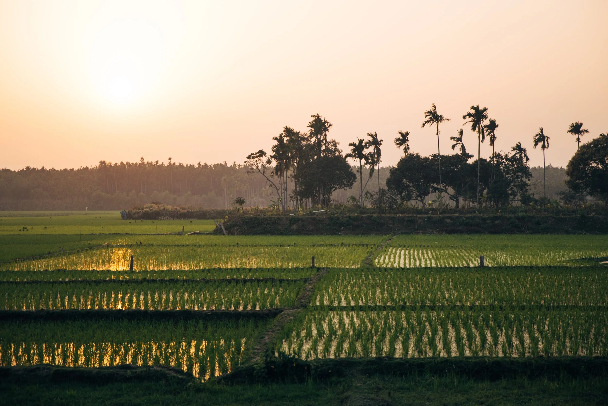 2018-02 FH+MTI Cultural (39 of 65).jpg