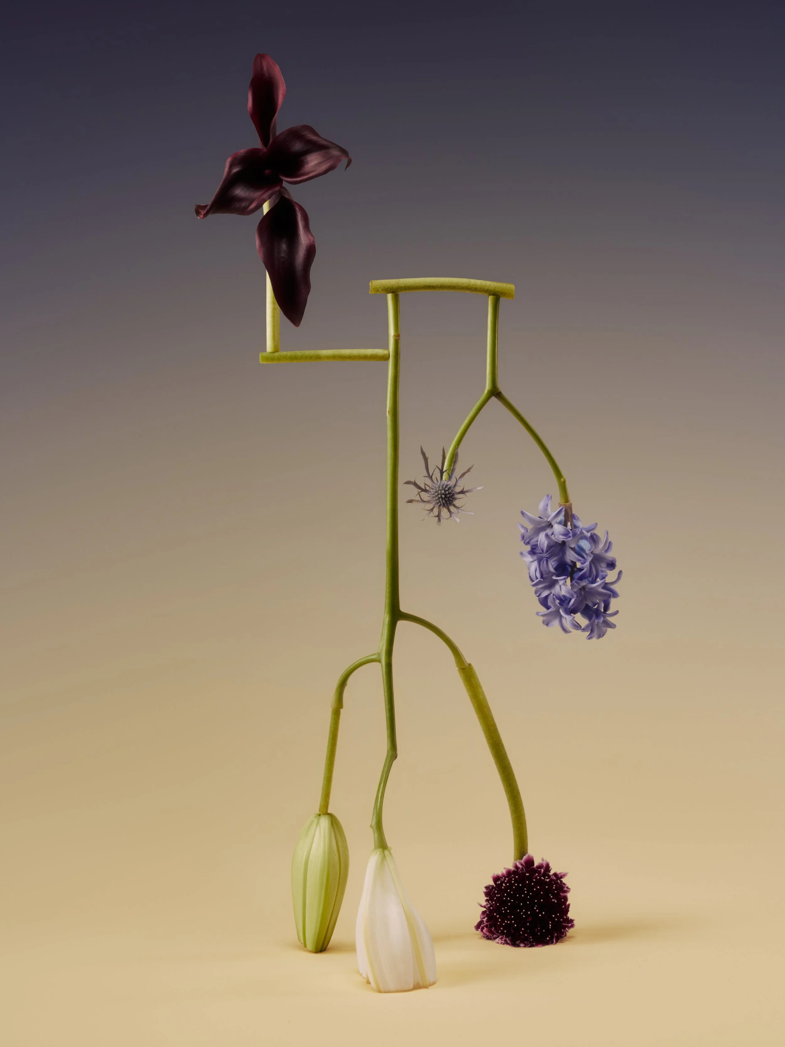 Bocci x Jennifer Latour3074.jpg