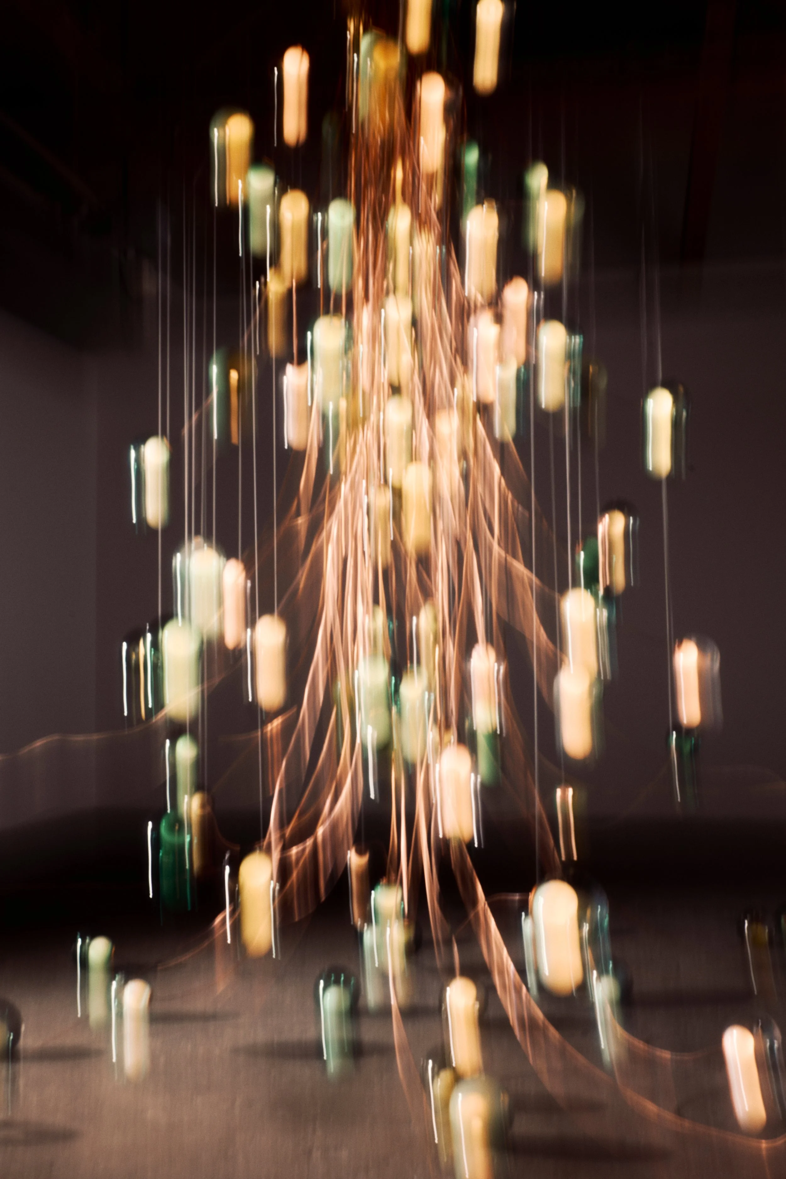 Bocci Tree6072_2.jpg