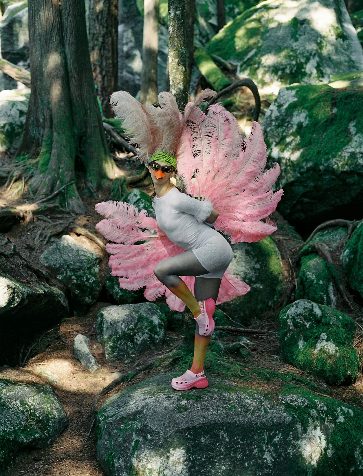 BIRD 1.jpg