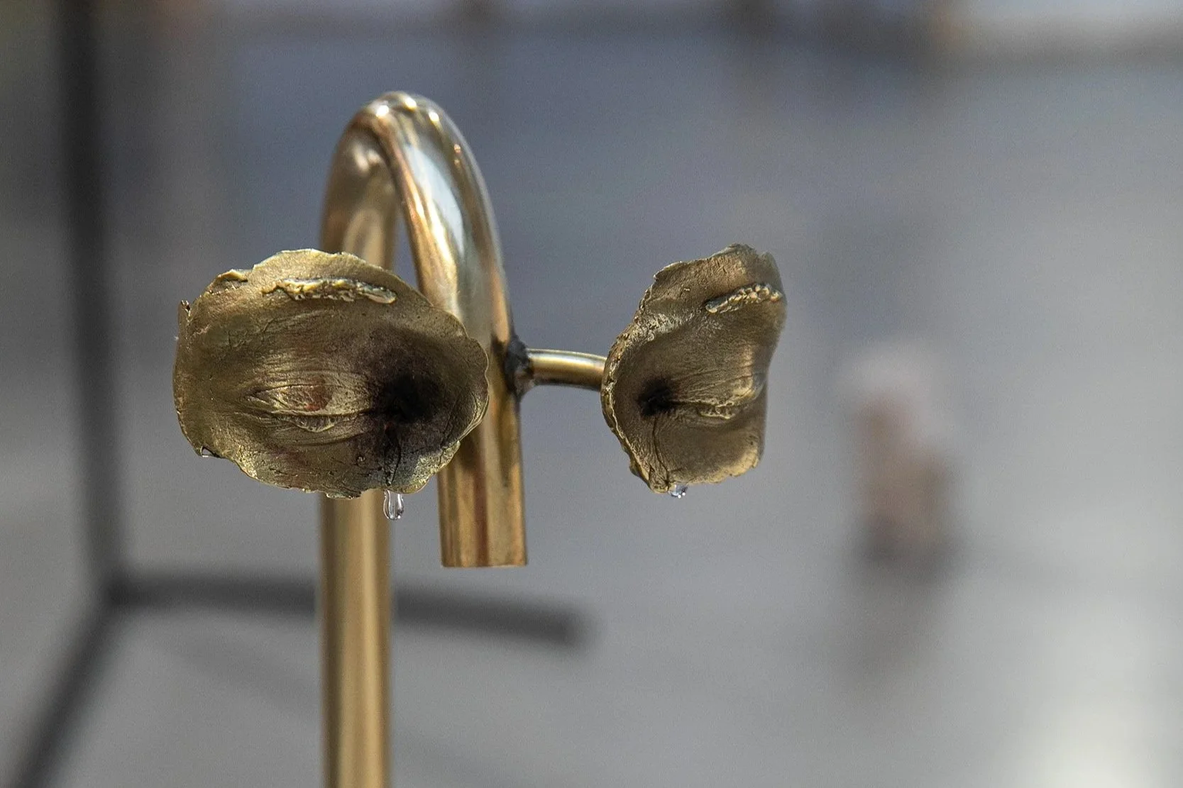 An interview with Méabh Breathnach