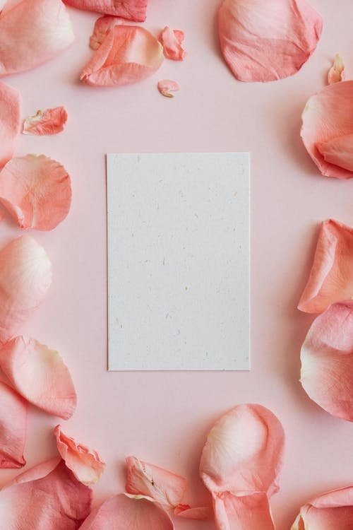 https://i.etsystatic.com/17694421/r/il/a7c24c/3647619798/il_fullxfull.3647619798_cnet.jpg