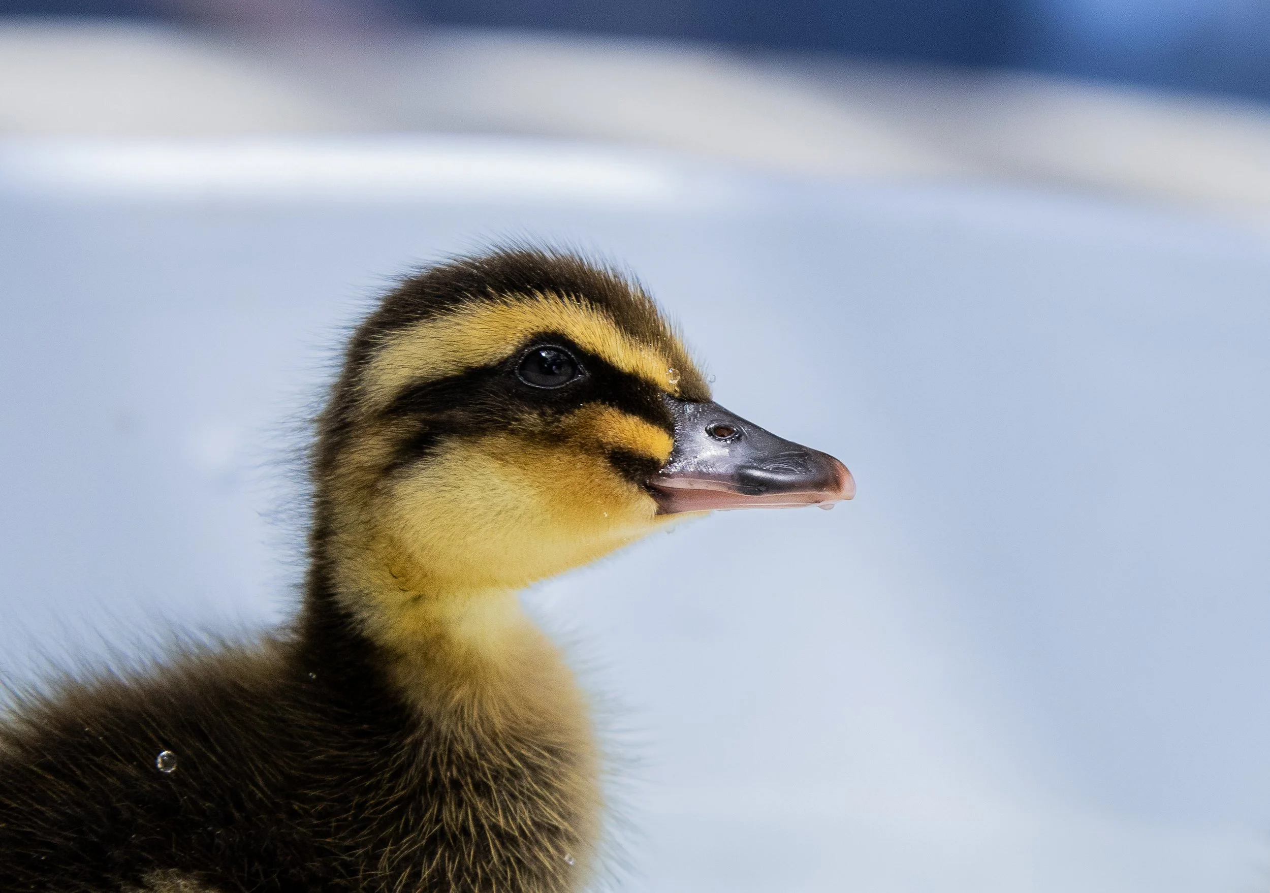 Website Photo Selects-04.jpg