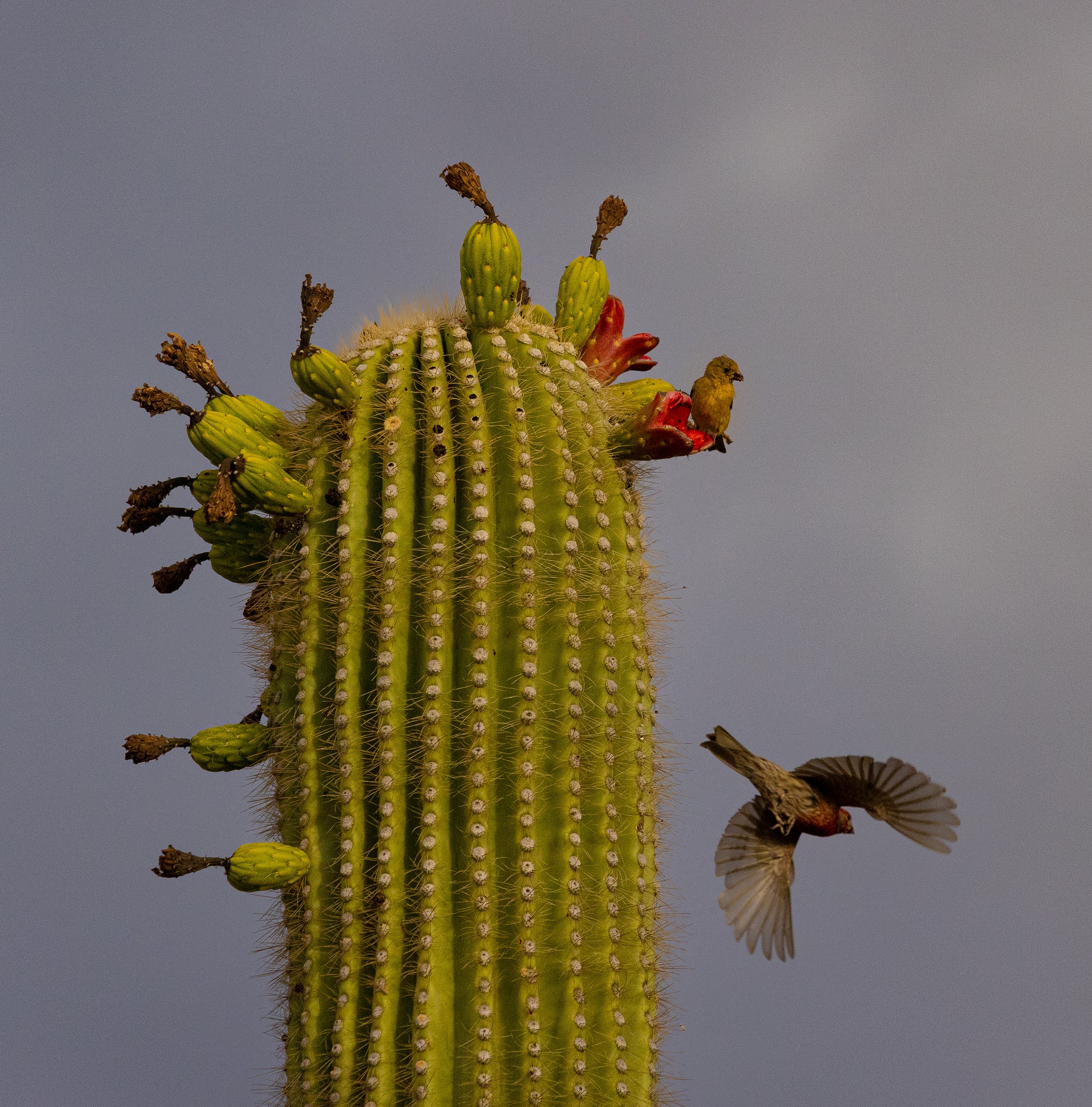 Website Photo Selects-03.jpg