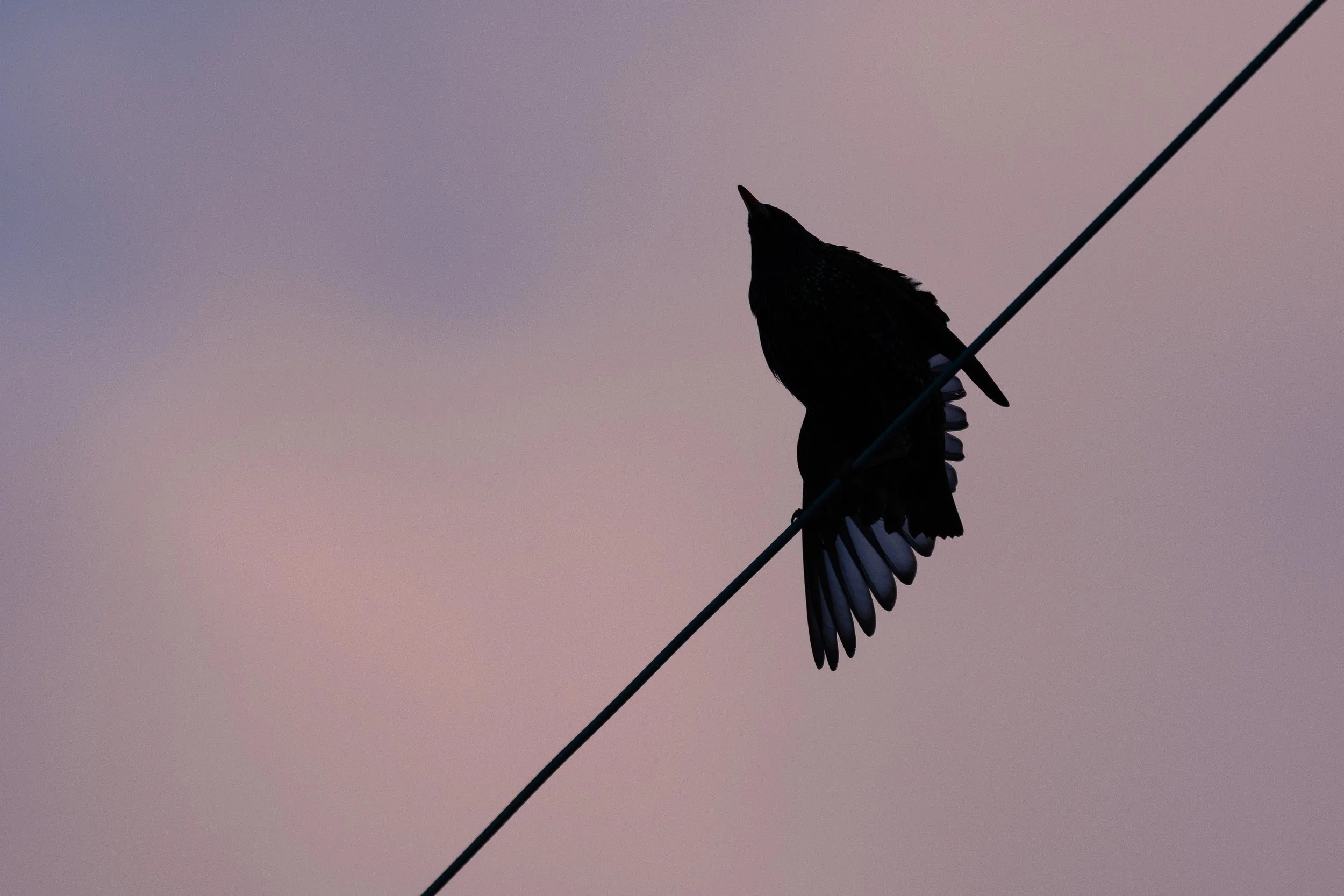 Website Photo Selects-21.jpg