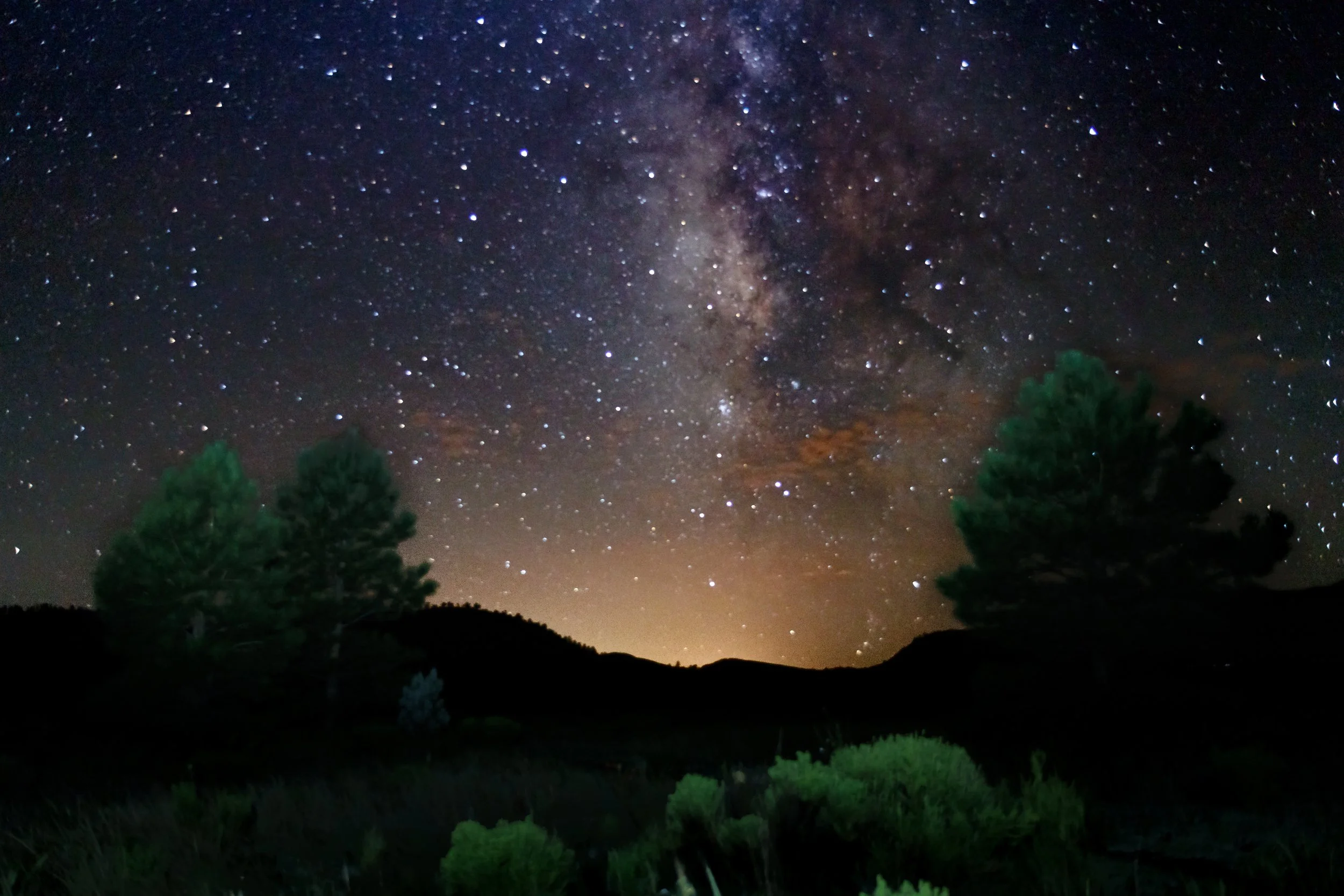 Website Photo Selects-16.jpg