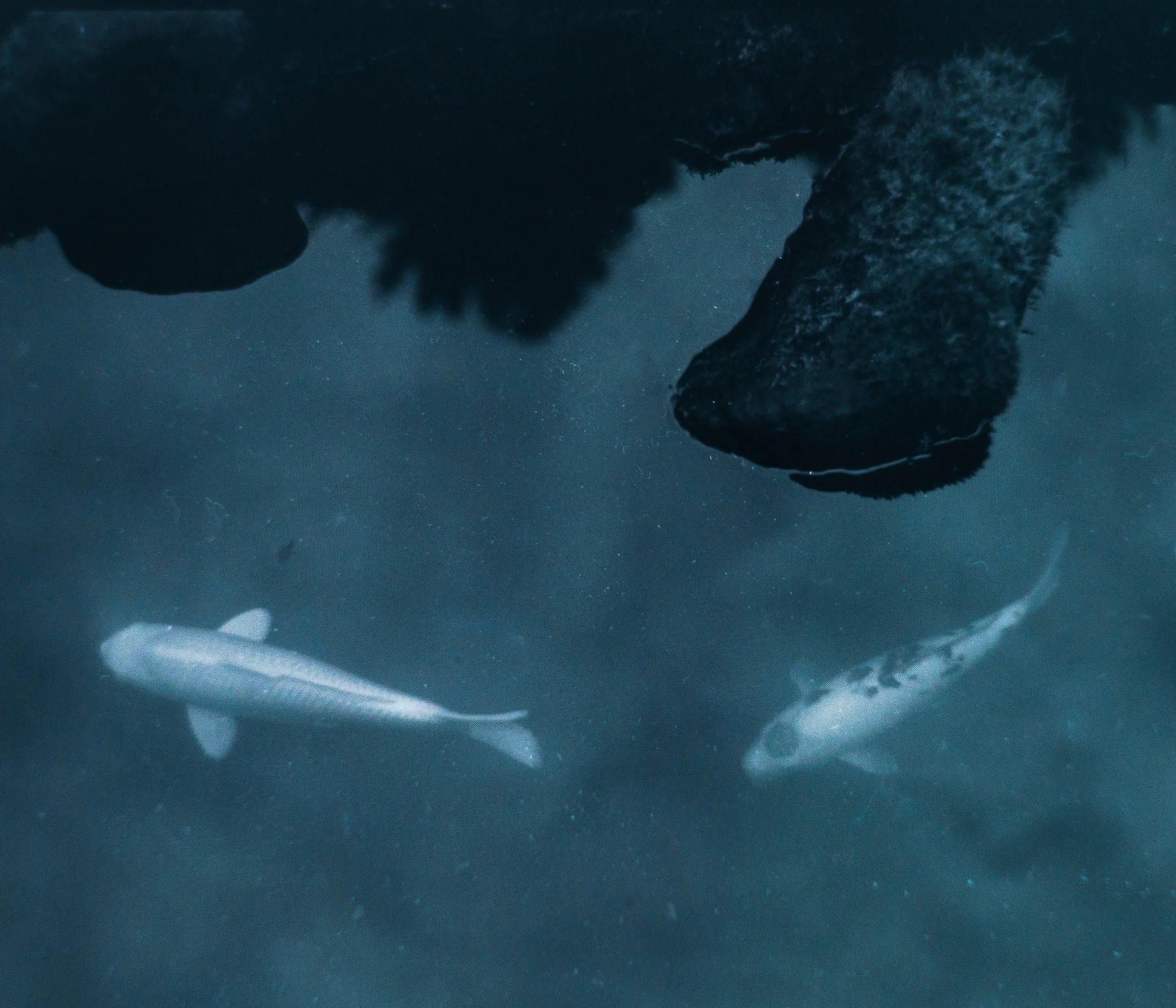 Website Photo Selects-22.jpg