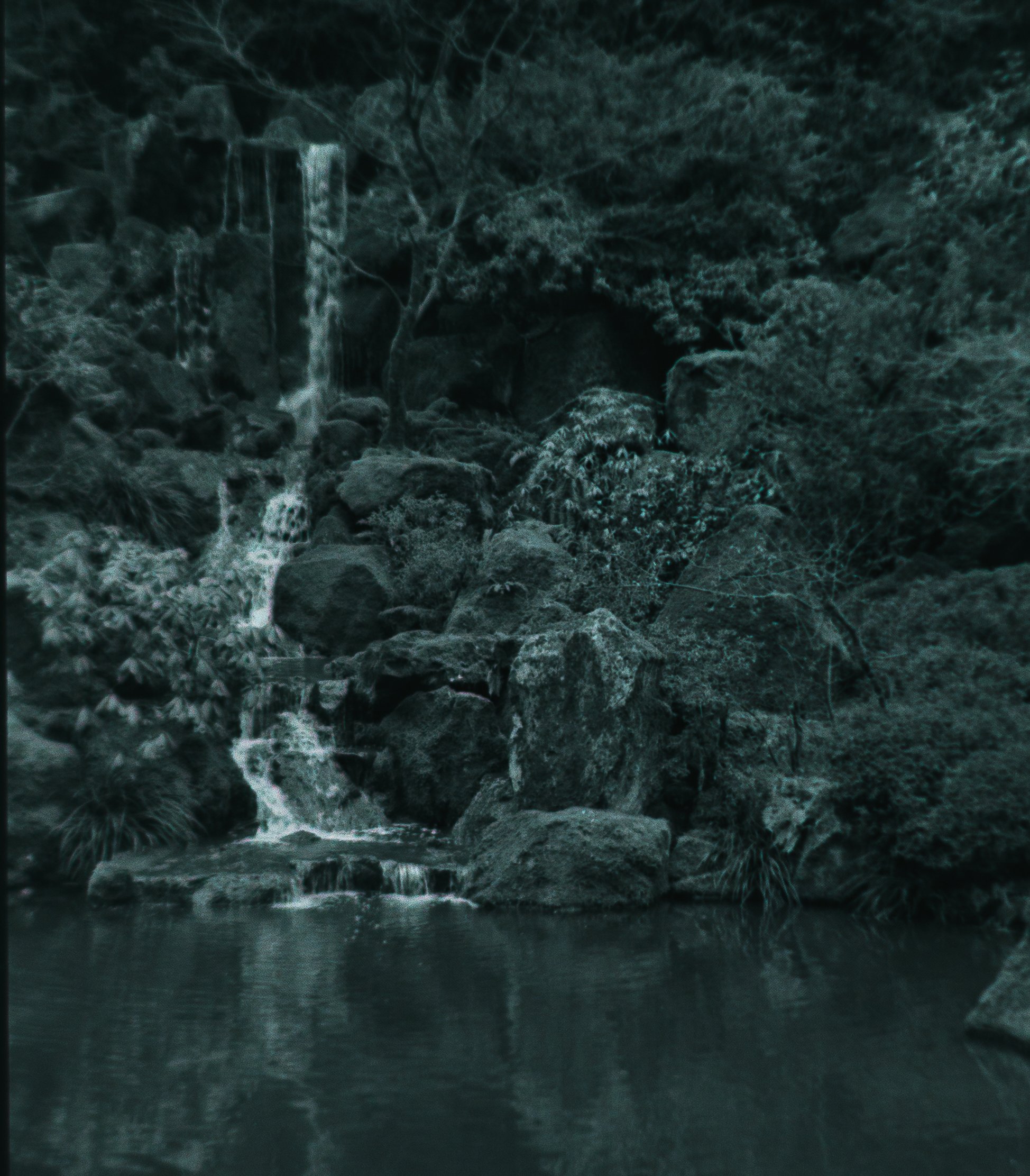 Website Photo Selects-23.jpg