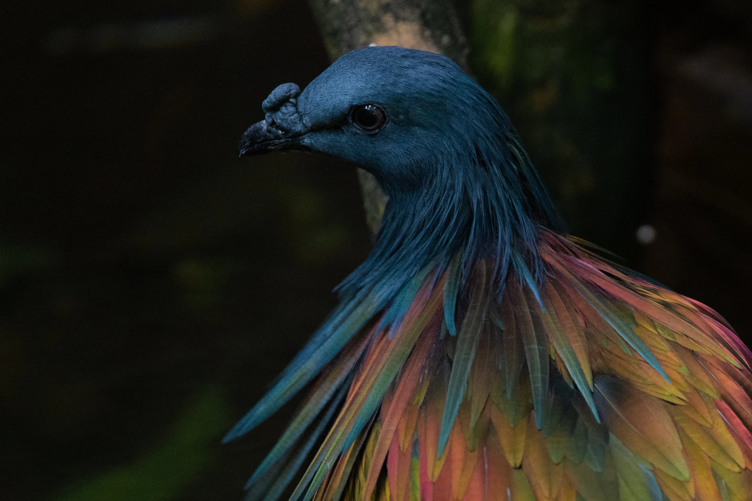 Website Photo Selects-05.jpg