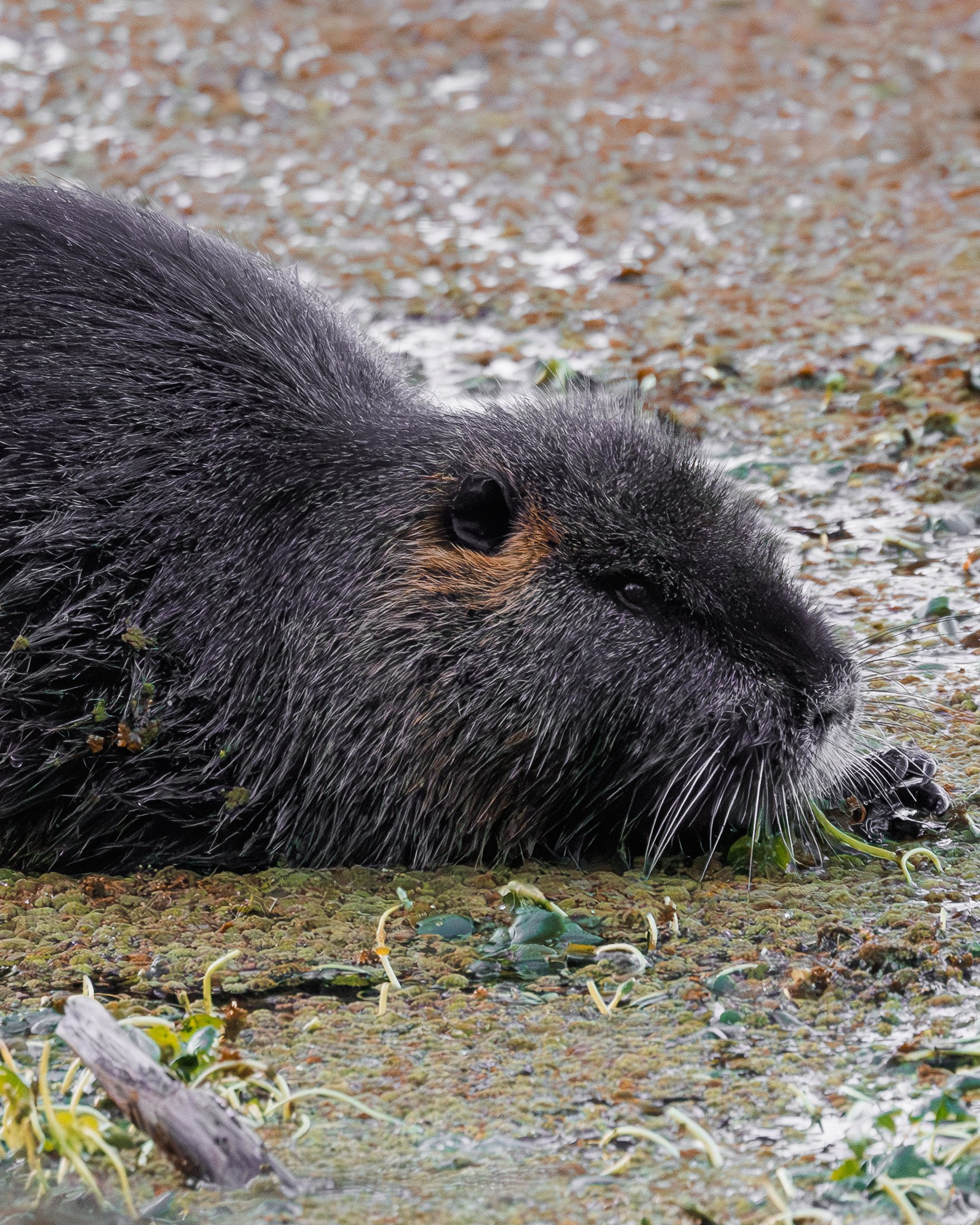 Website Photo Selects-34.jpg