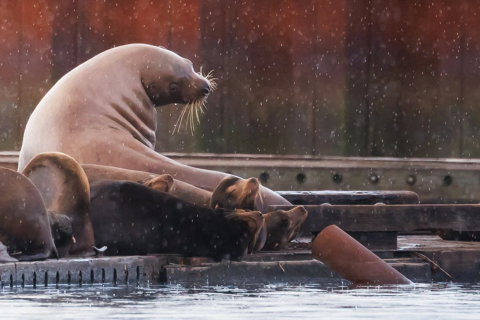 Website Photo Selects-18.jpg