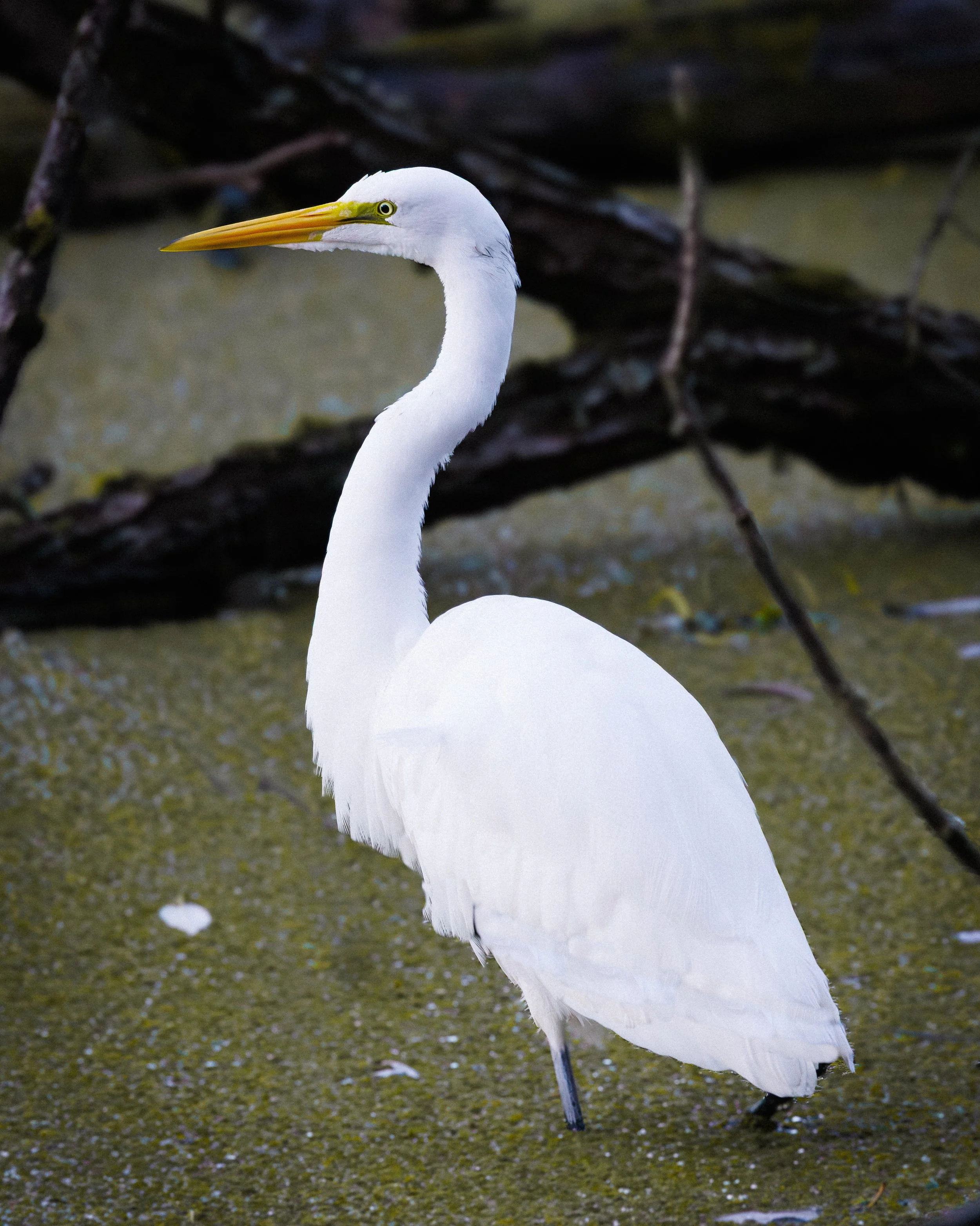 Website Photo Selects-33.jpg