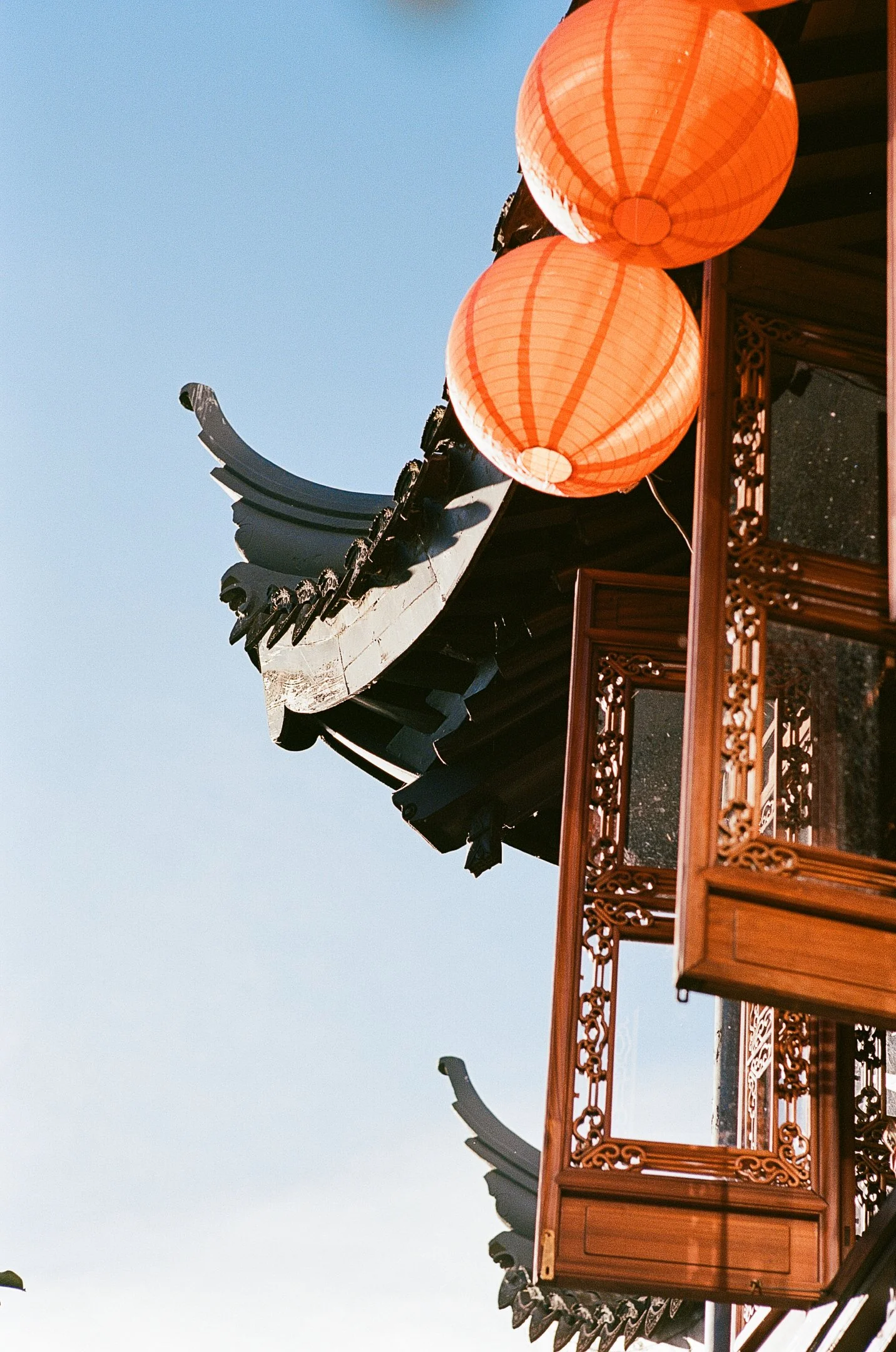 chinese garden-6.jpg
