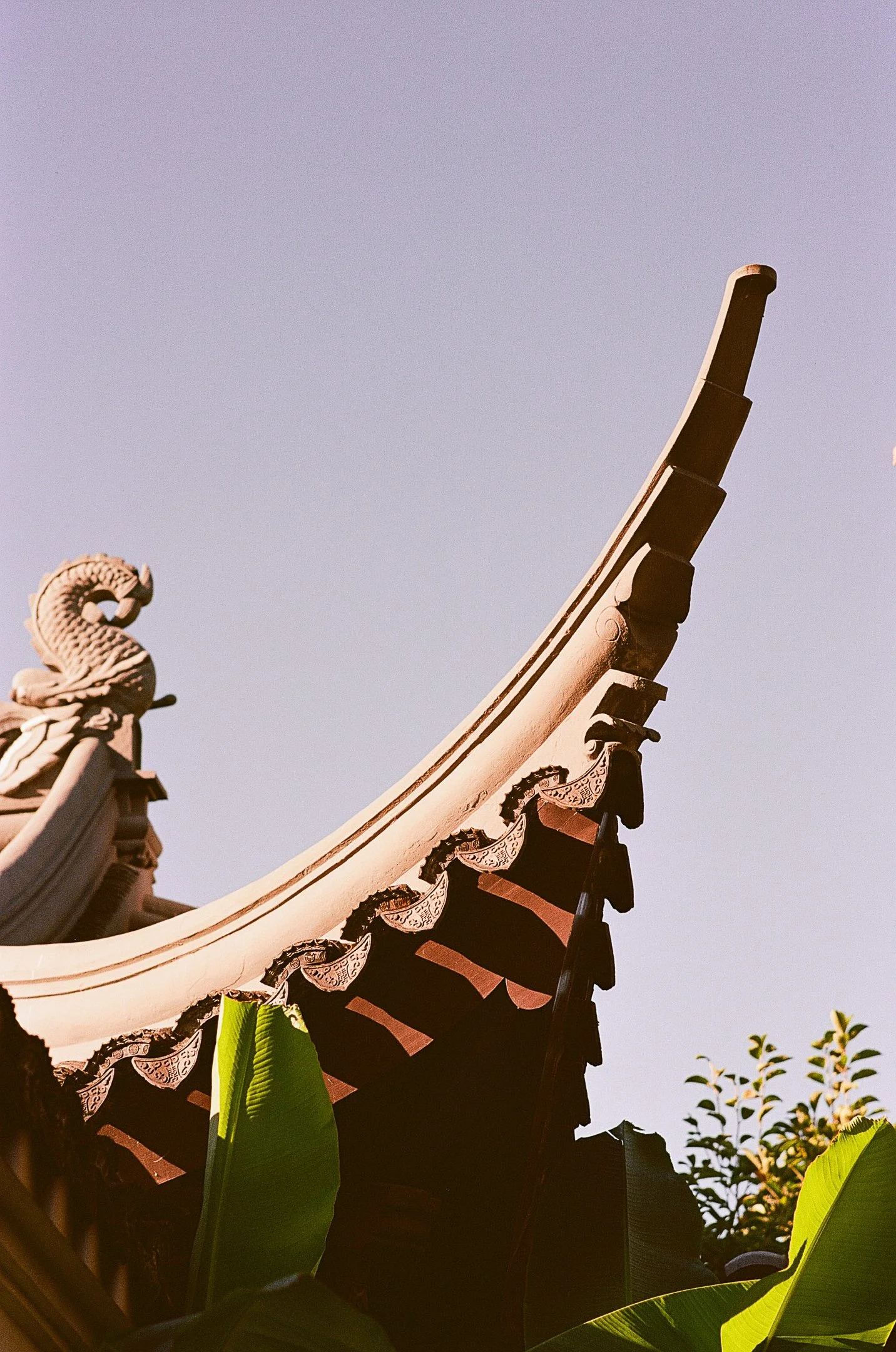 chinese garden-5.jpg