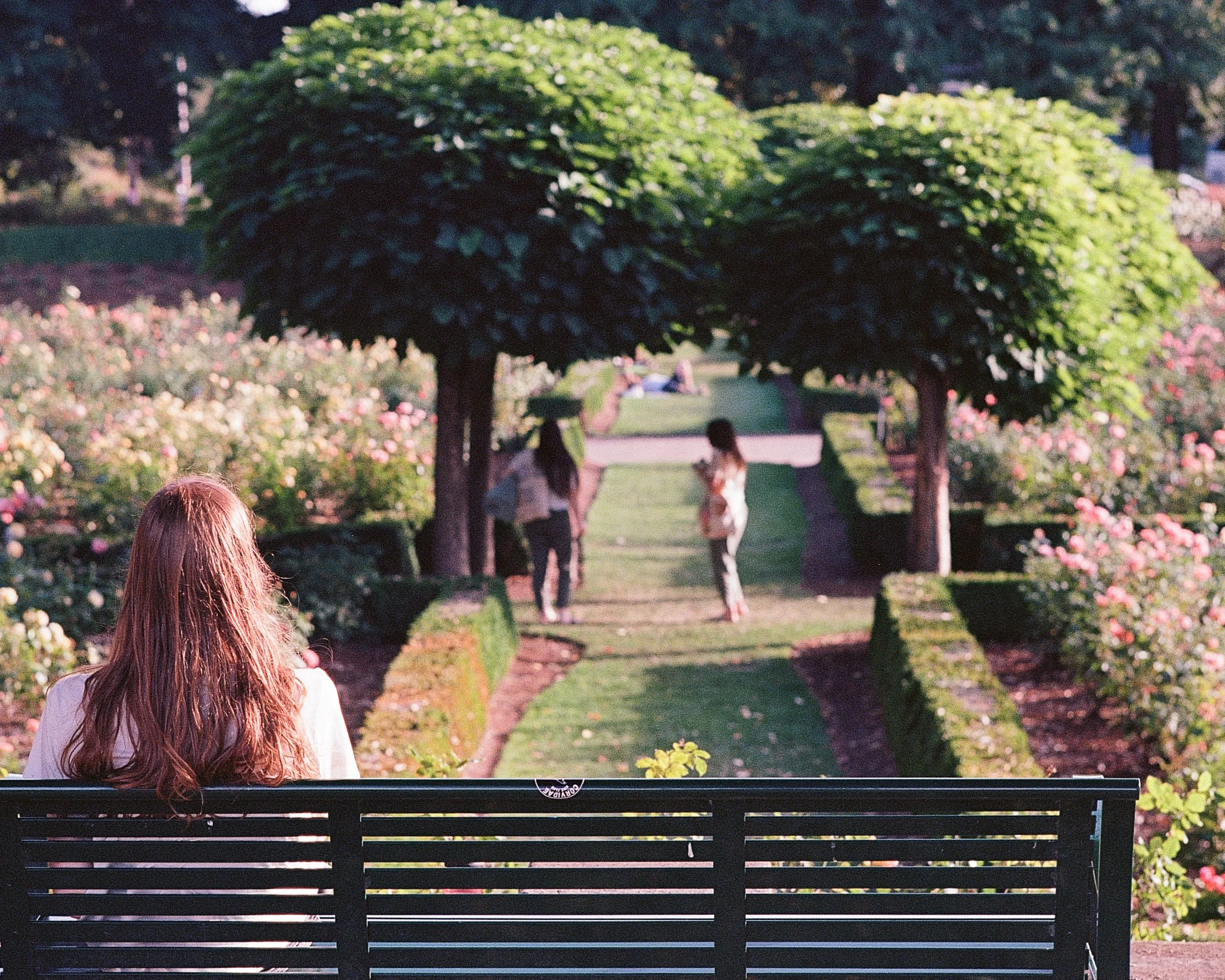 Website Photo Selects-30.jpg