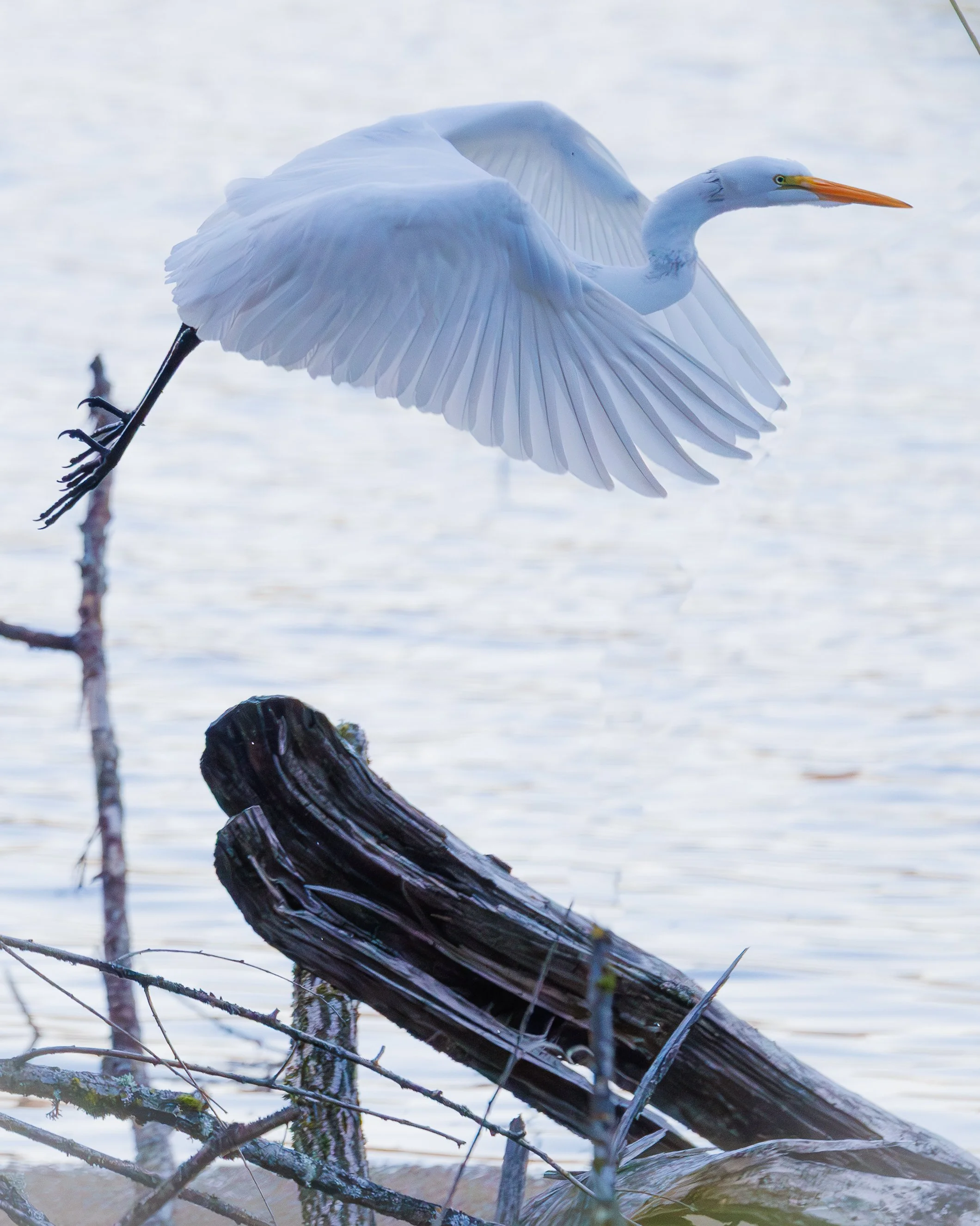 Website Photo Selects-32.jpg