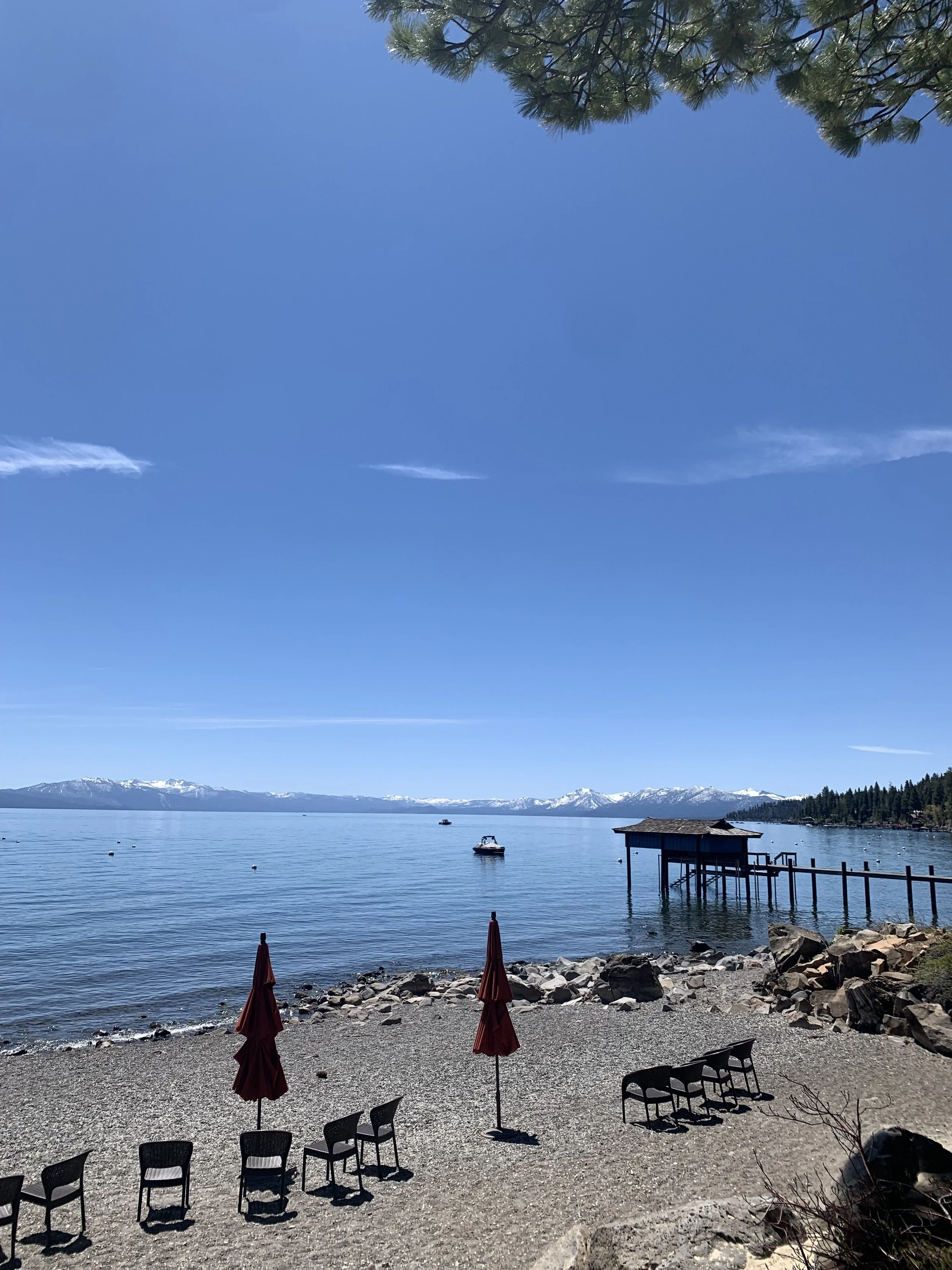 IMG_1686.jpeg