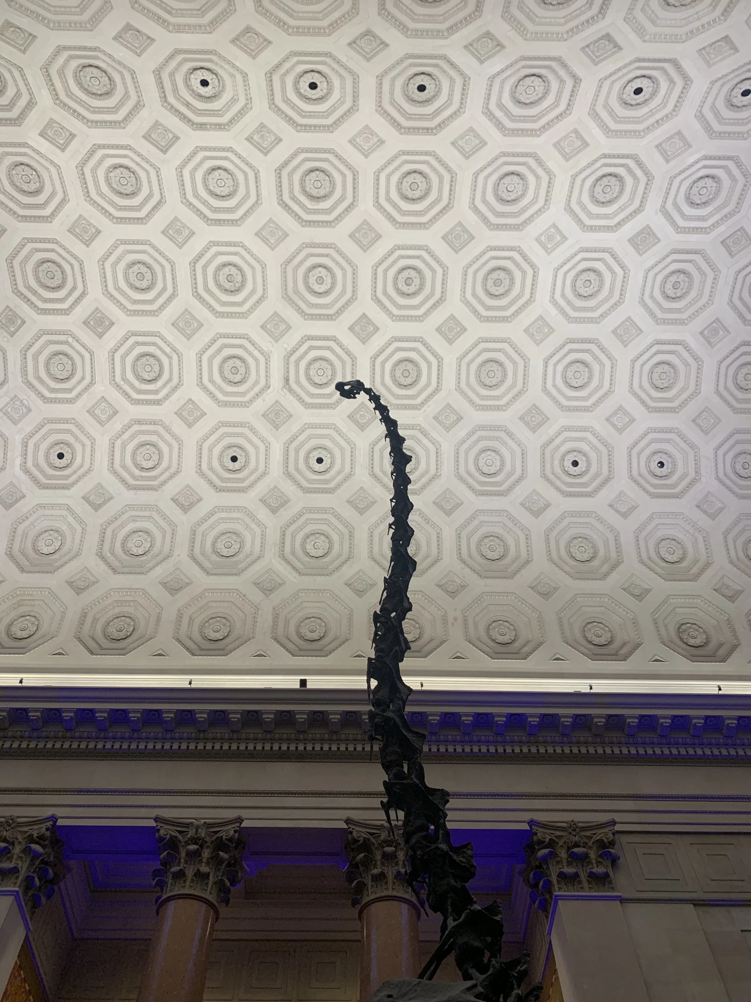 IMG_3284.jpeg