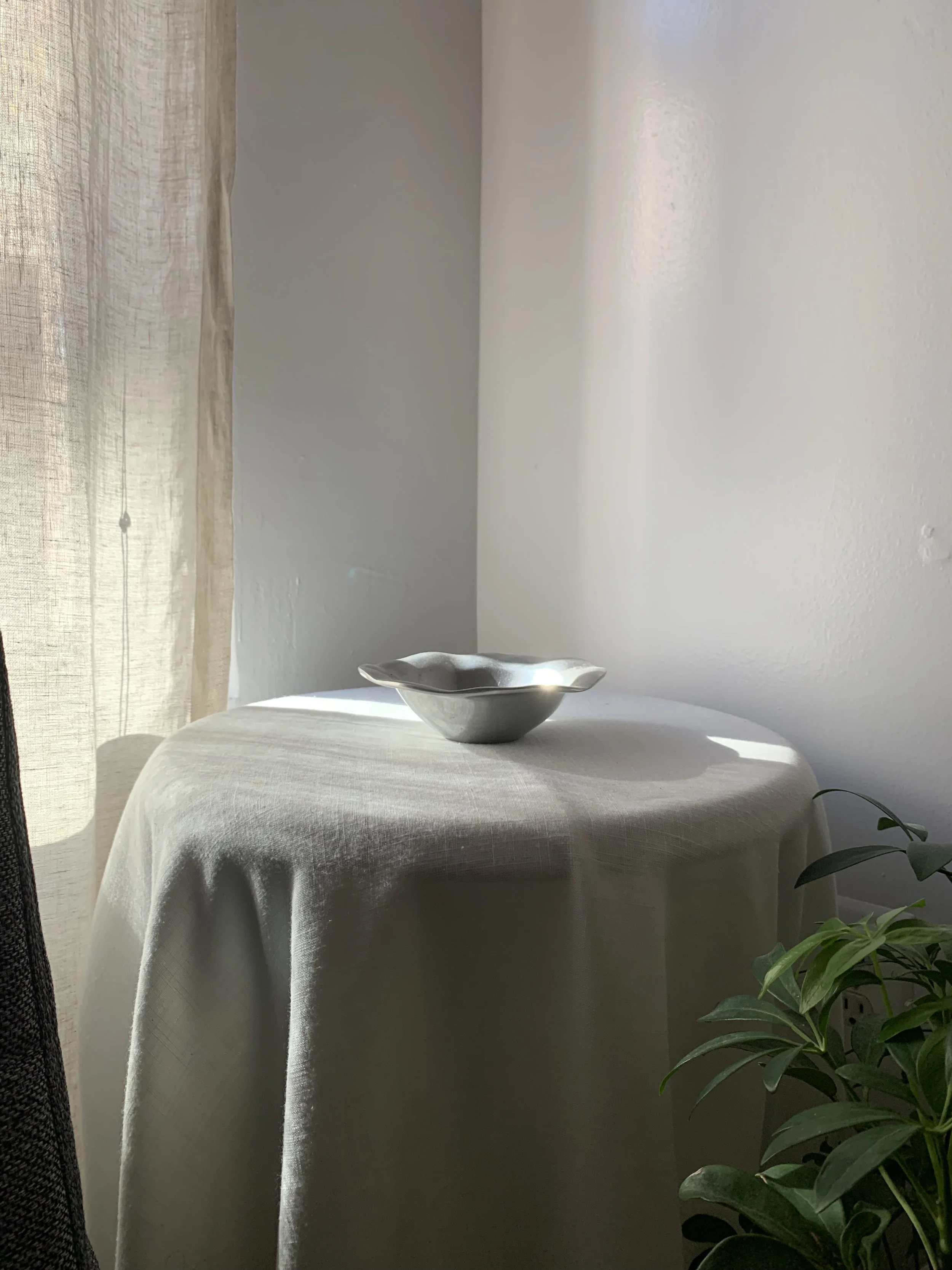 IMG_3623.jpeg