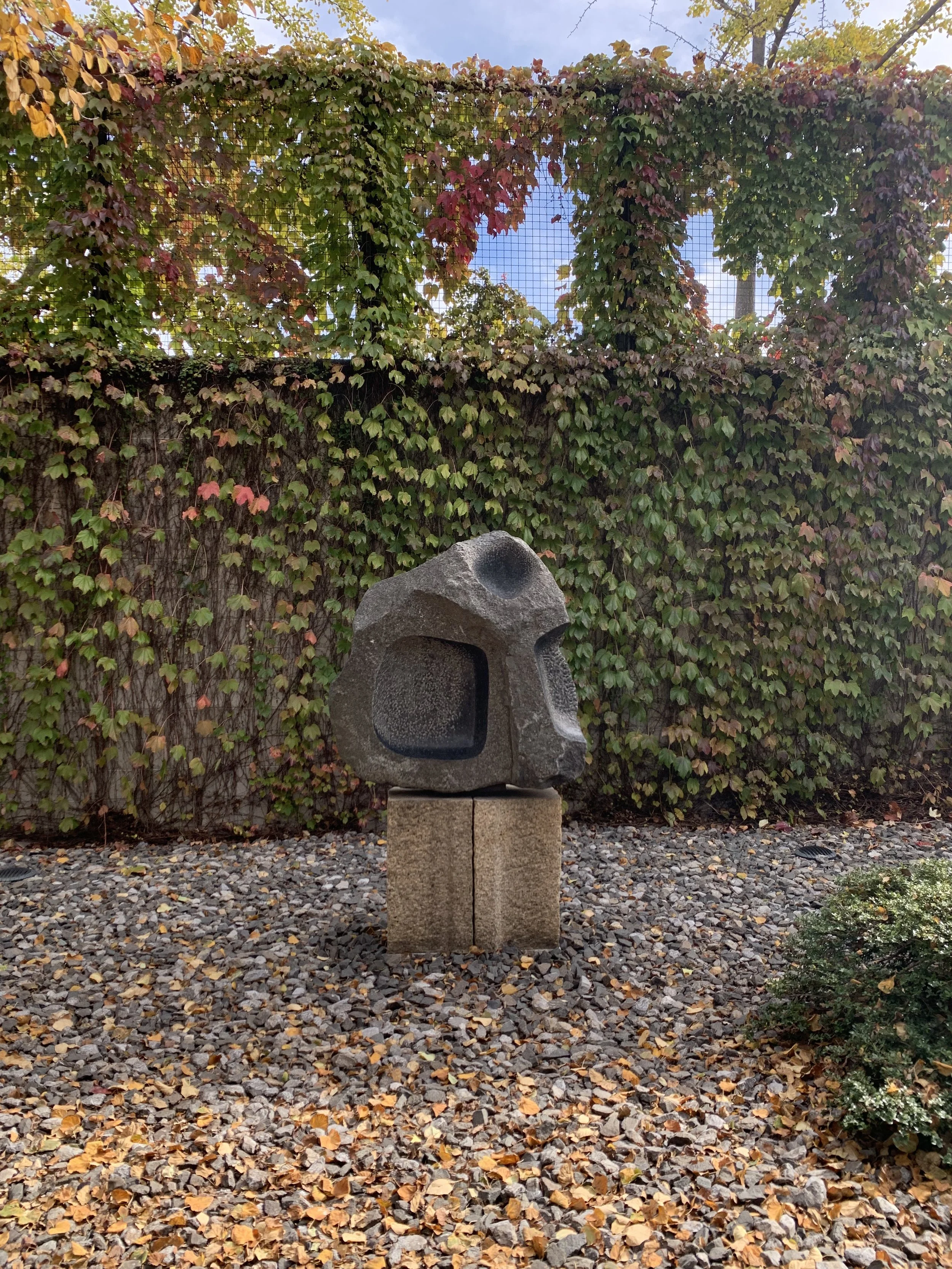 IMG_3733.jpeg