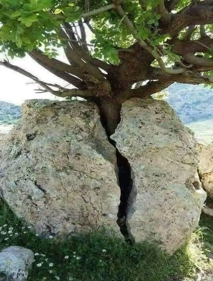title here...