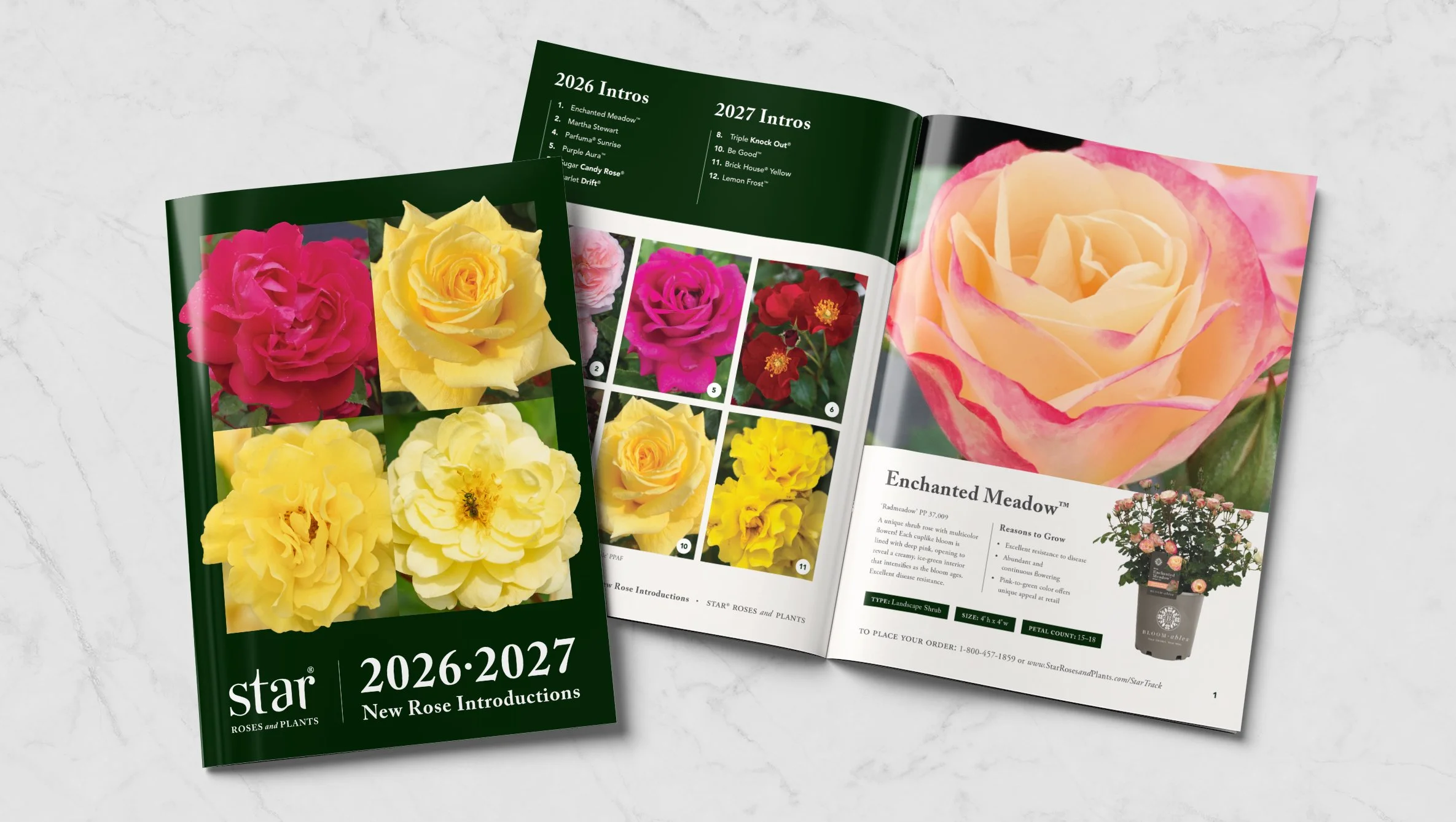 🔗  New Rose Varieties Brochure   
