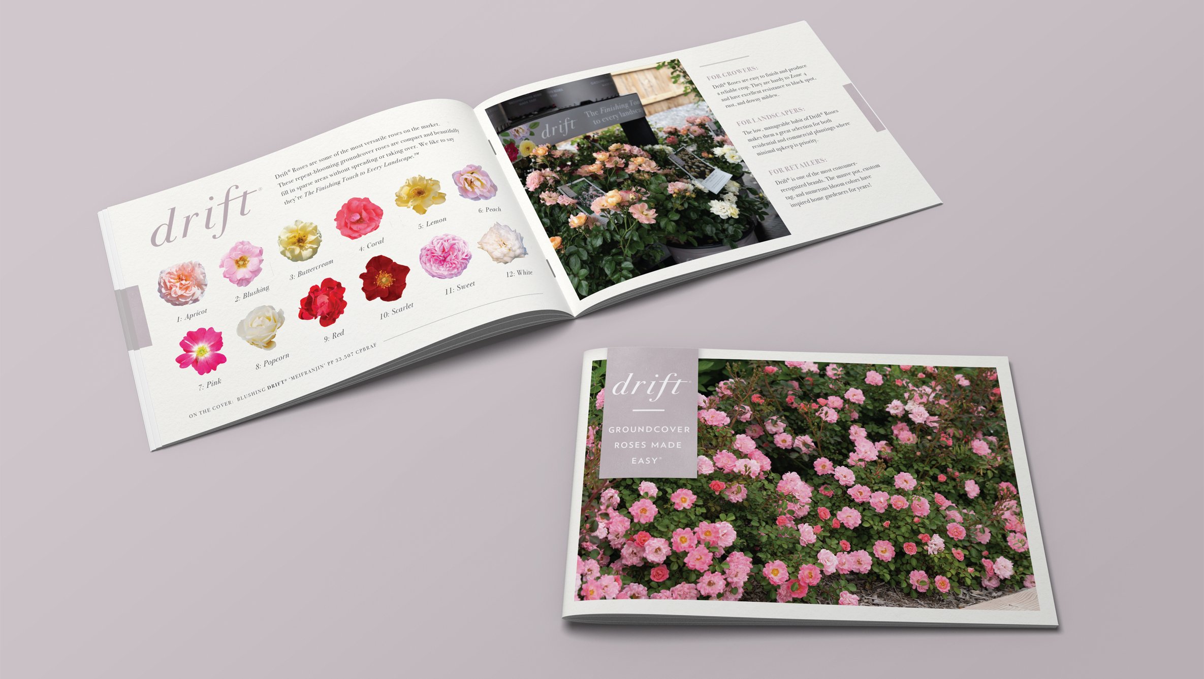 🔗  Drift Brochure