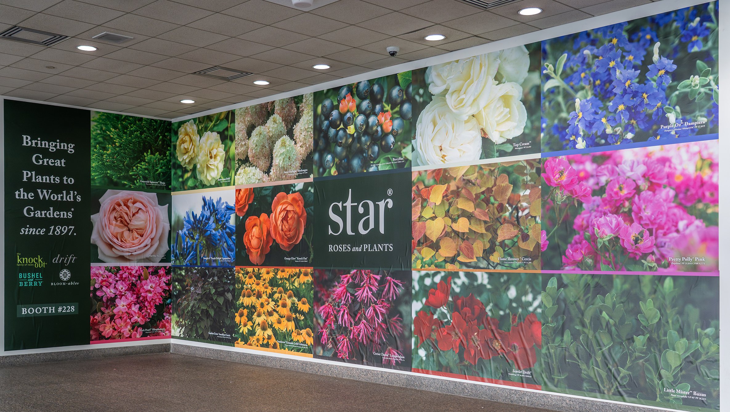 Star Trade Show Signage