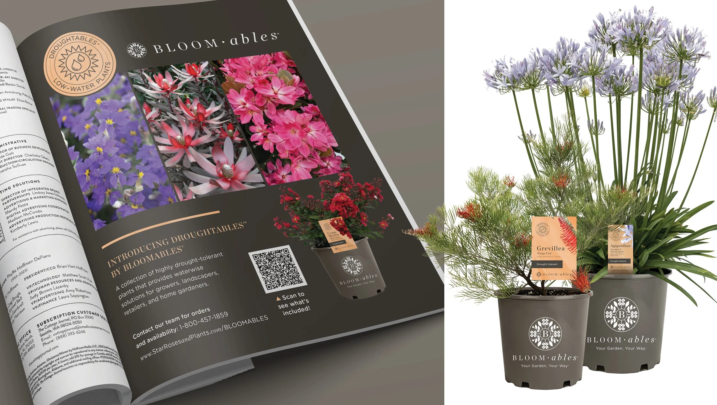 Droughtables Advertisement + Tag