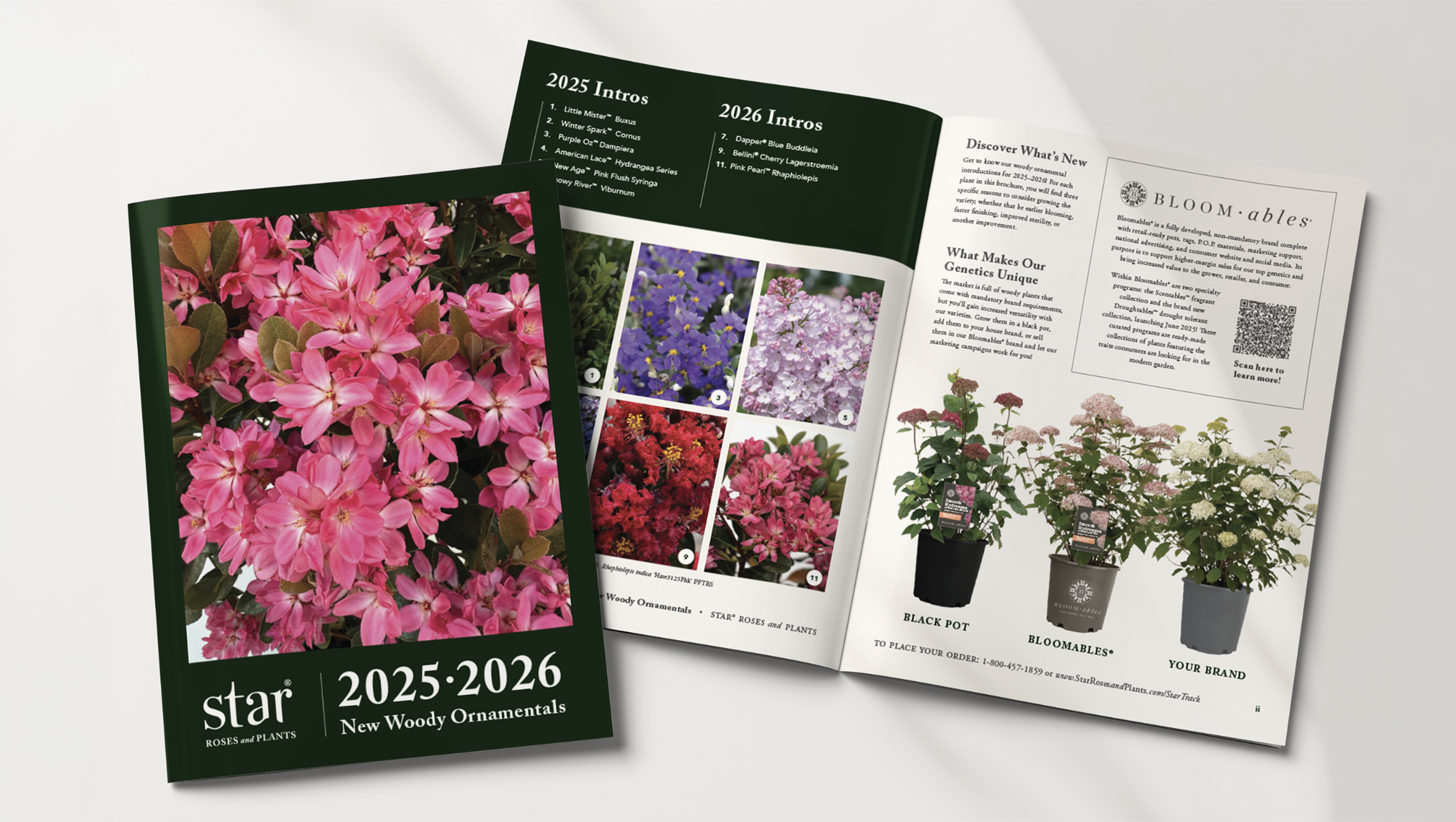 🔗  New Woody Ornamentals Brochure   