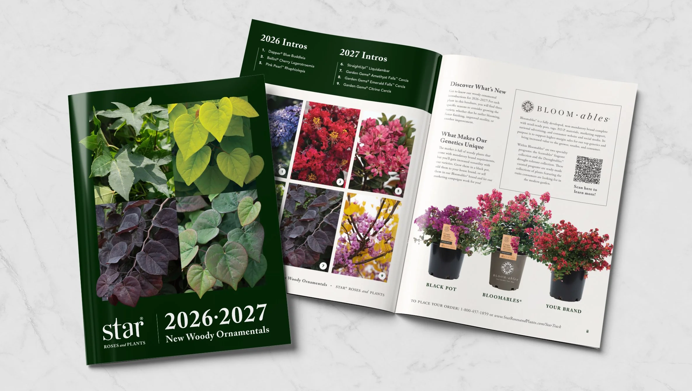 🔗  New Woody Ornamentals Brochure   