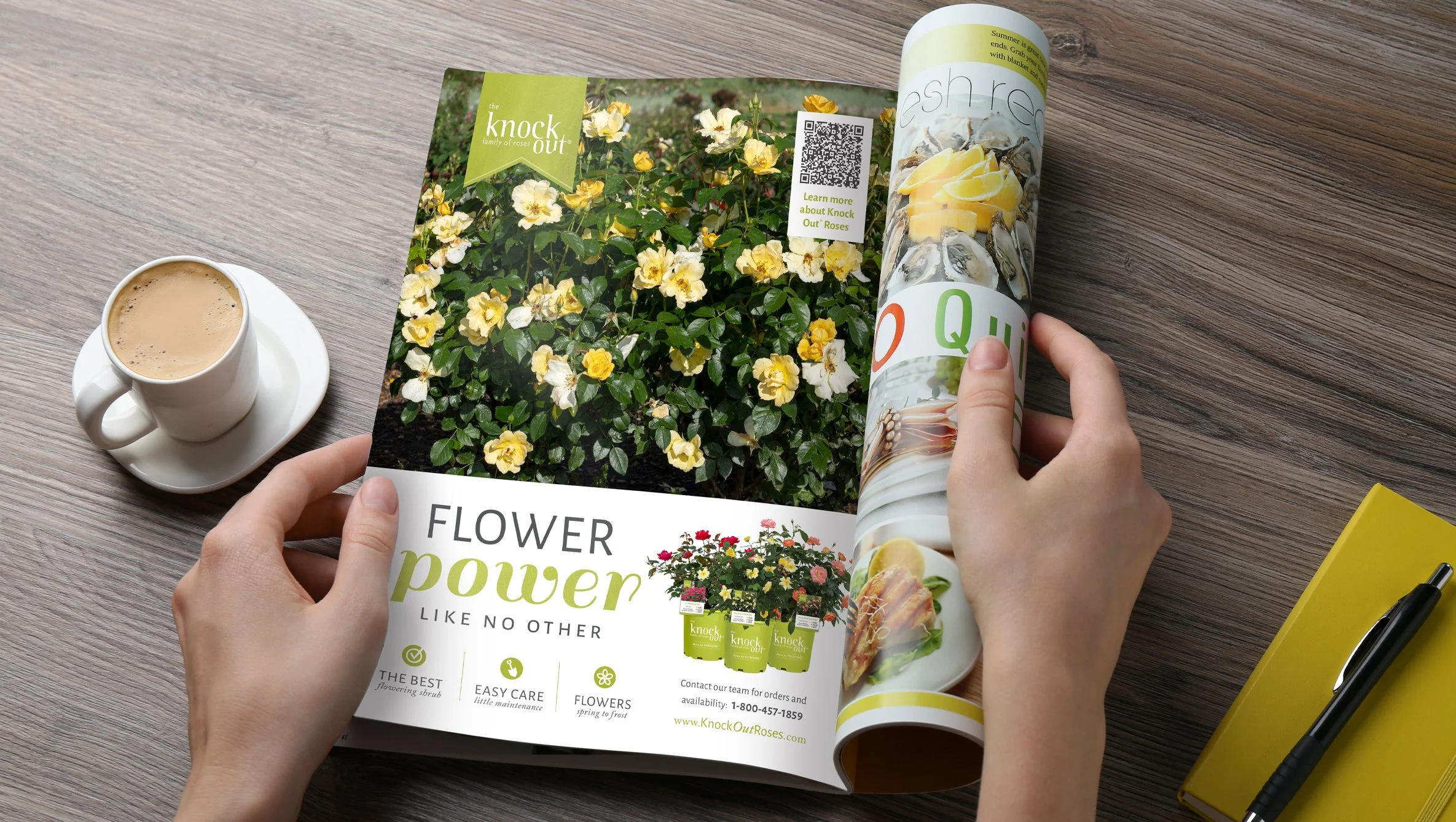 Knock Out Advertisement