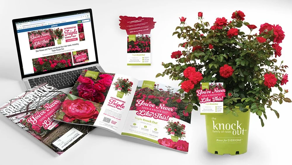 Triple Knock Out Launch Campaign and Tag