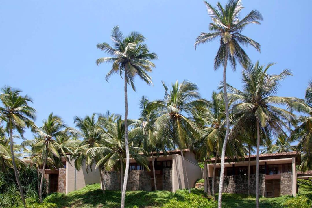 Amanwella-Sri-Lanka-Coconut-Grove_High-Res_1351_FIN-1024x683.jpg