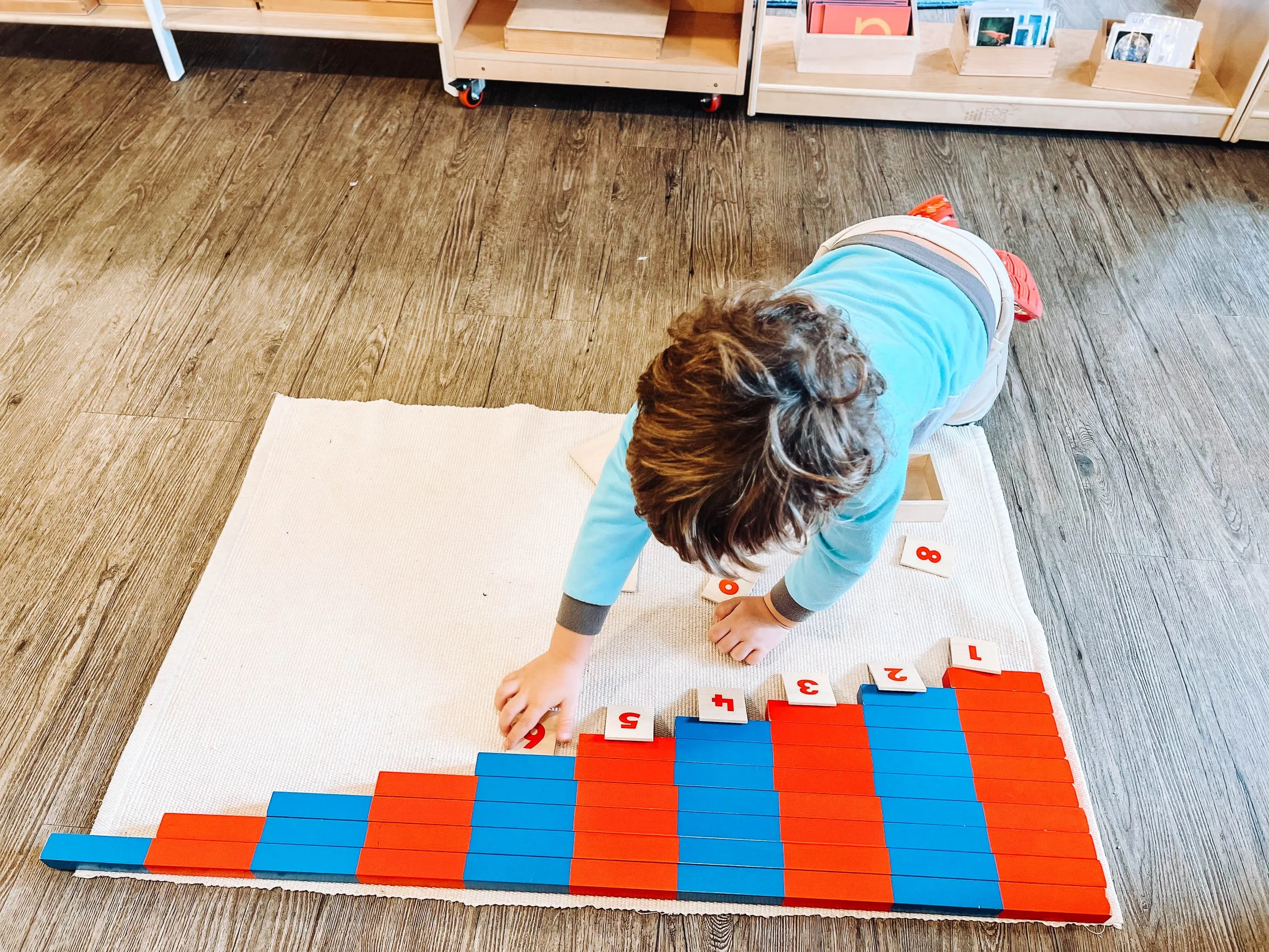 Child playing with colorful number blocks arranged to form a bar graph on a white rug on a wooden floor, with bookshelves in the background.