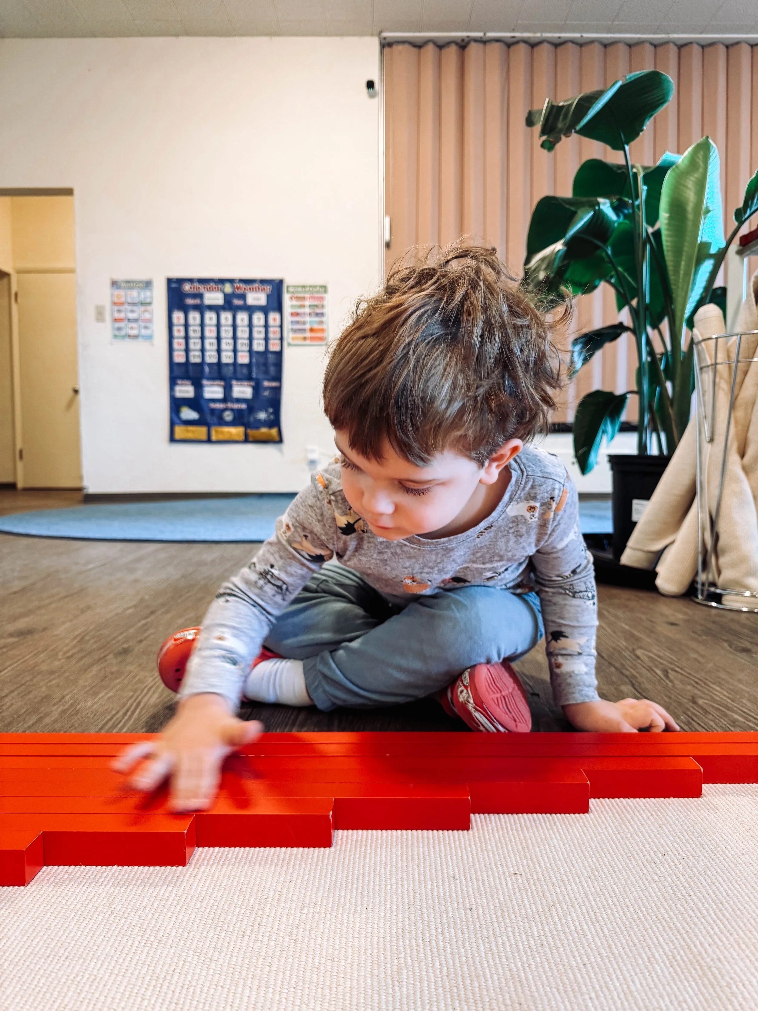 A young boy playing with red blocks on a floor in a room with a plant, posters, and closed blinds.