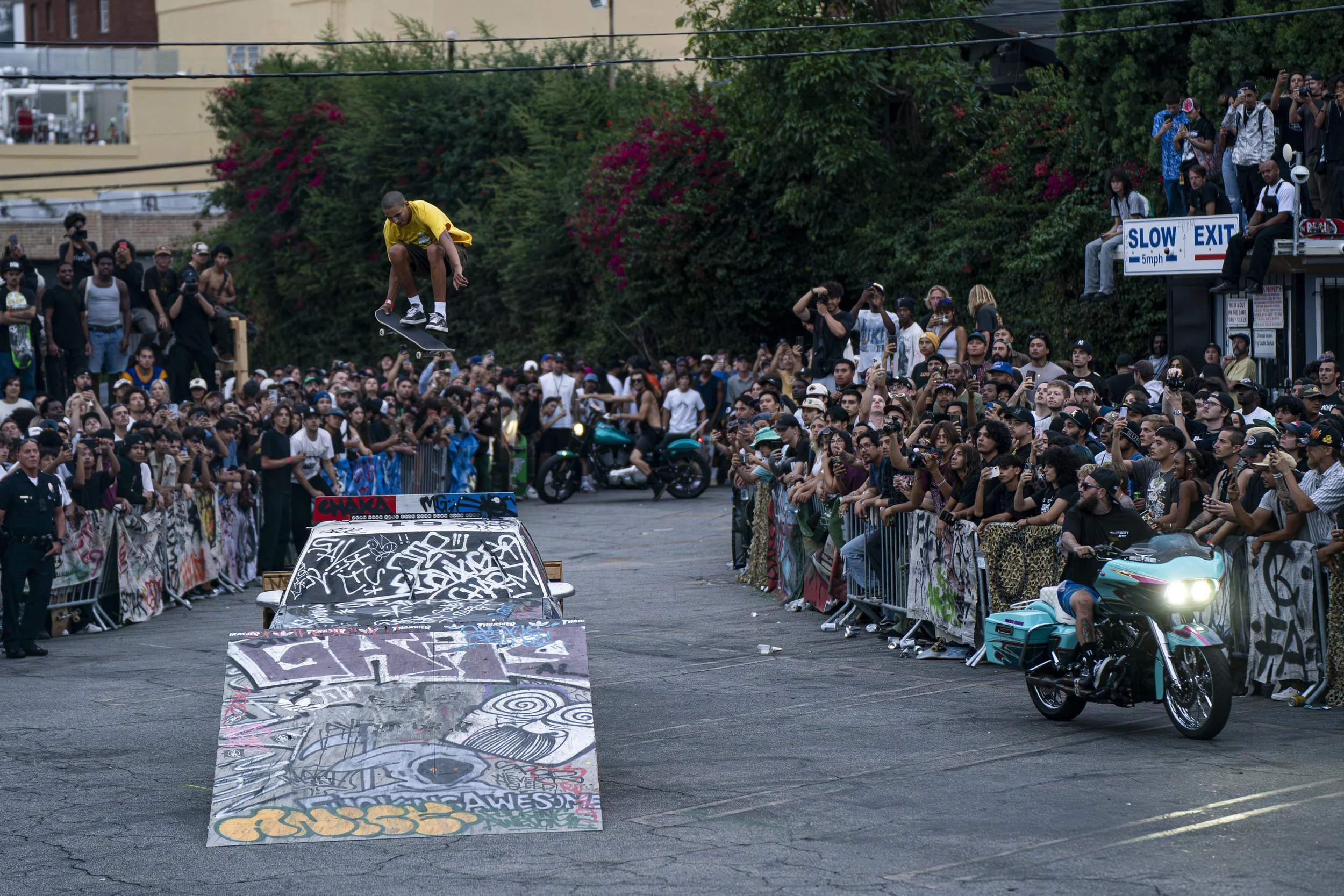 Louie-ShuvTG Denoise.jpg